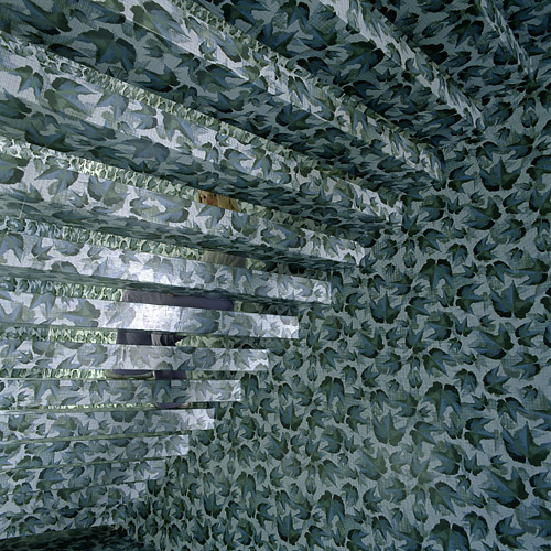©paul-ott_SLF57.jpg