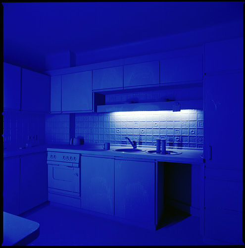 ©paul-ott_hausblau04.jpg