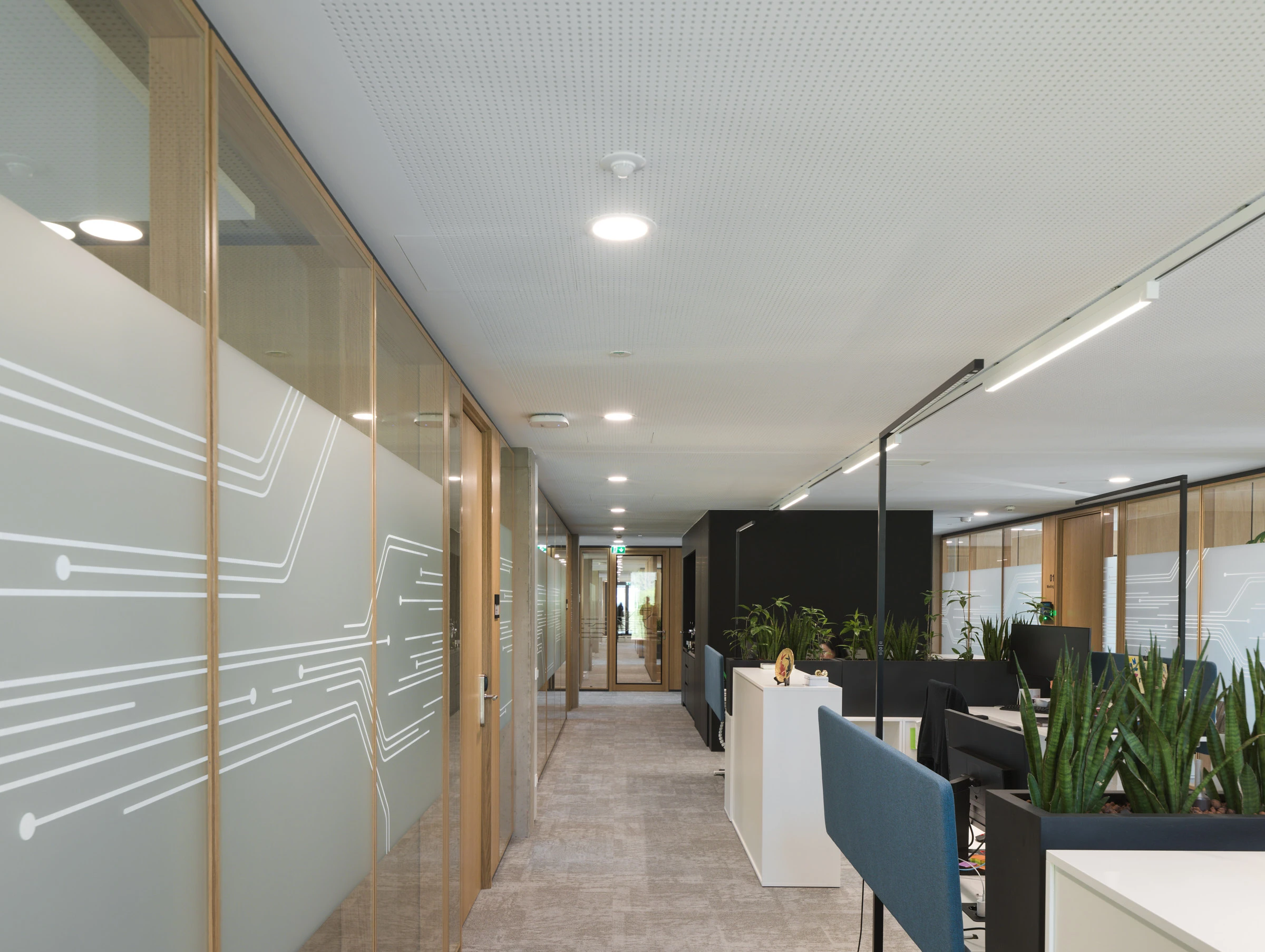 Kein Alt-Text zur Verfügung gestellt.