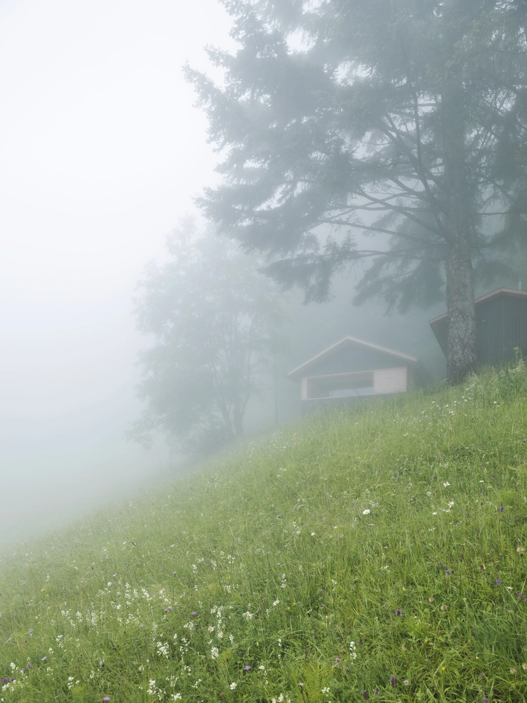Kein Alt-Text zur Verfügung gestellt.