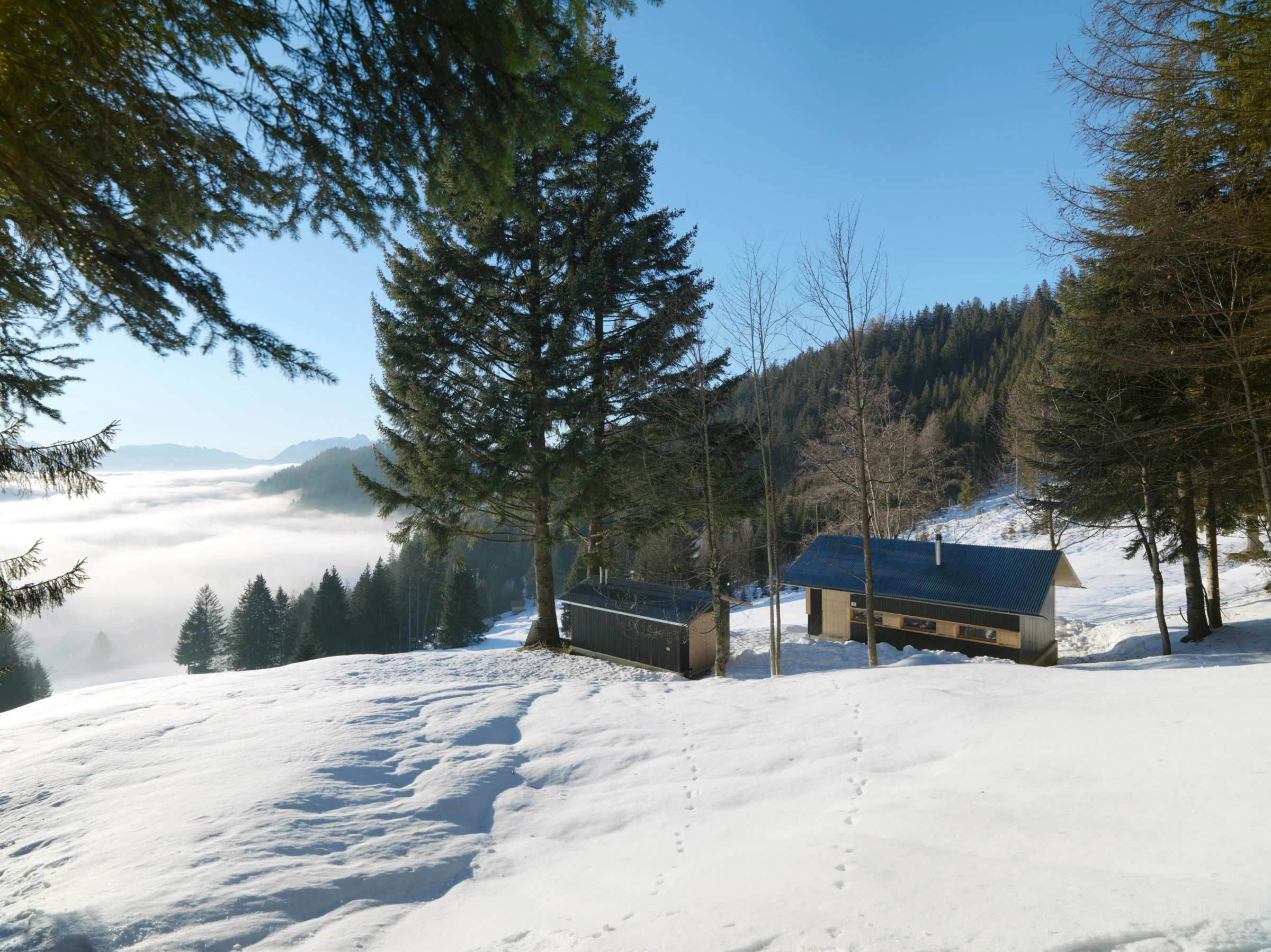 Kein Alt-Text zur Verfügung gestellt.