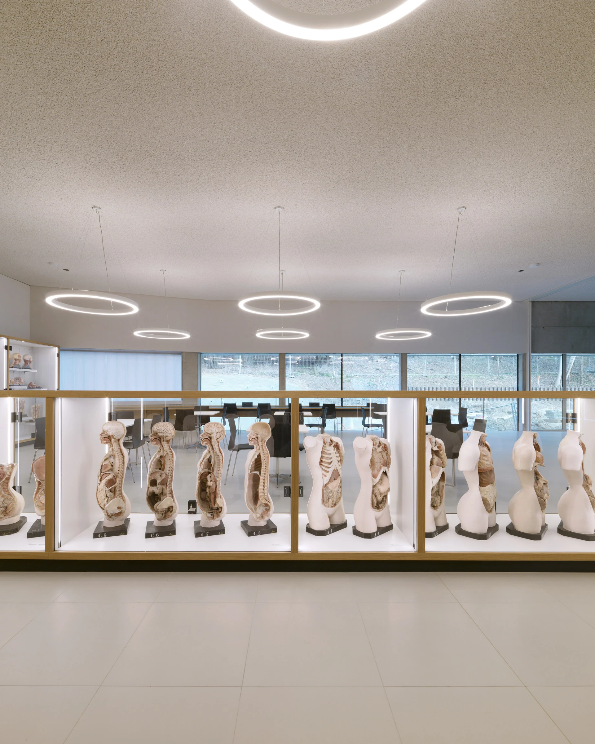 Kein Alt-Text zur Verfügung gestellt.