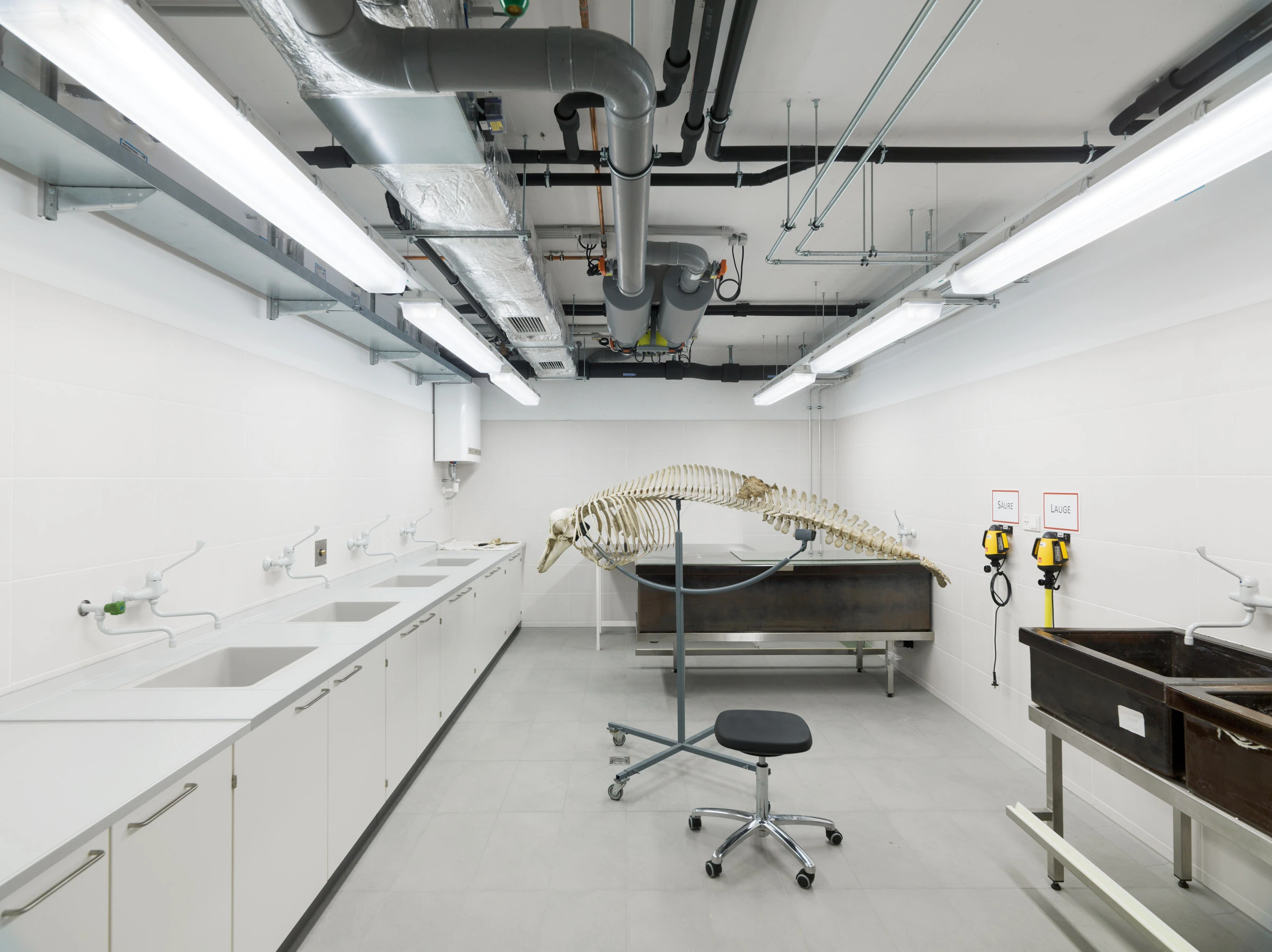 Kein Alt-Text zur Verfügung gestellt.