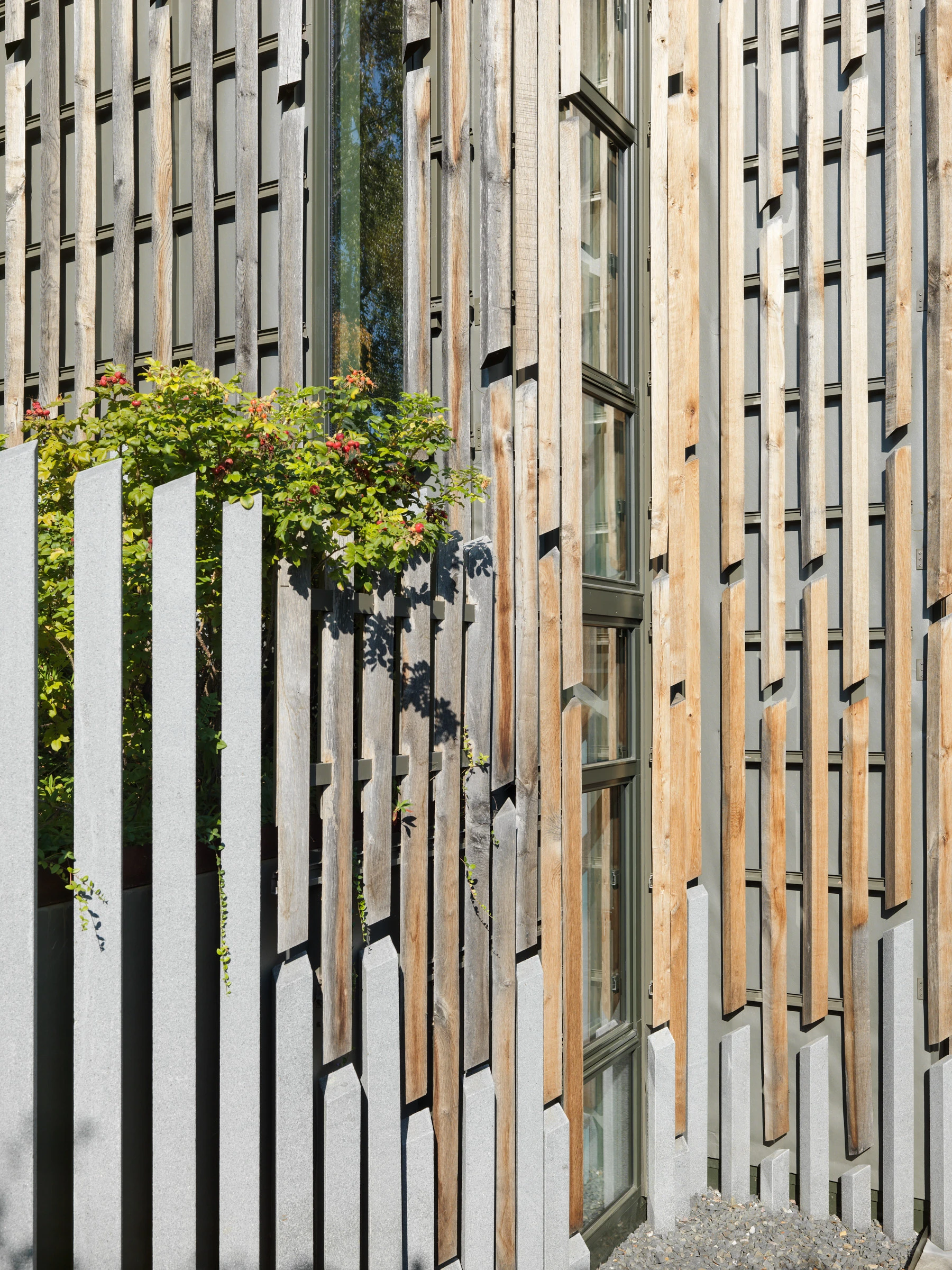 Kein Alt-Text zur Verfügung gestellt.