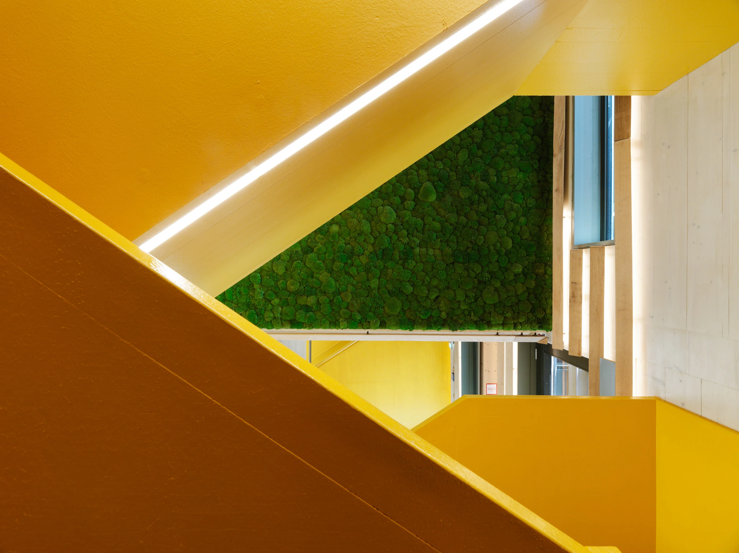 Kein Alt-Text zur Verfügung gestellt.