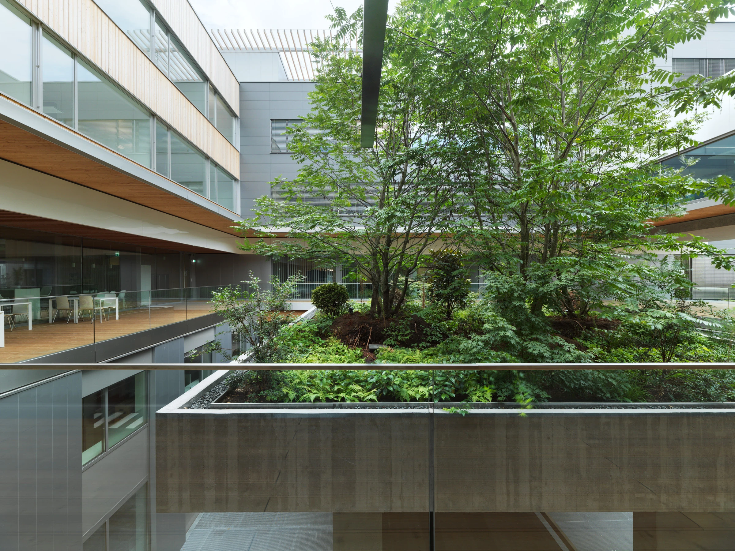 Kein Alt-Text zur Verfügung gestellt.