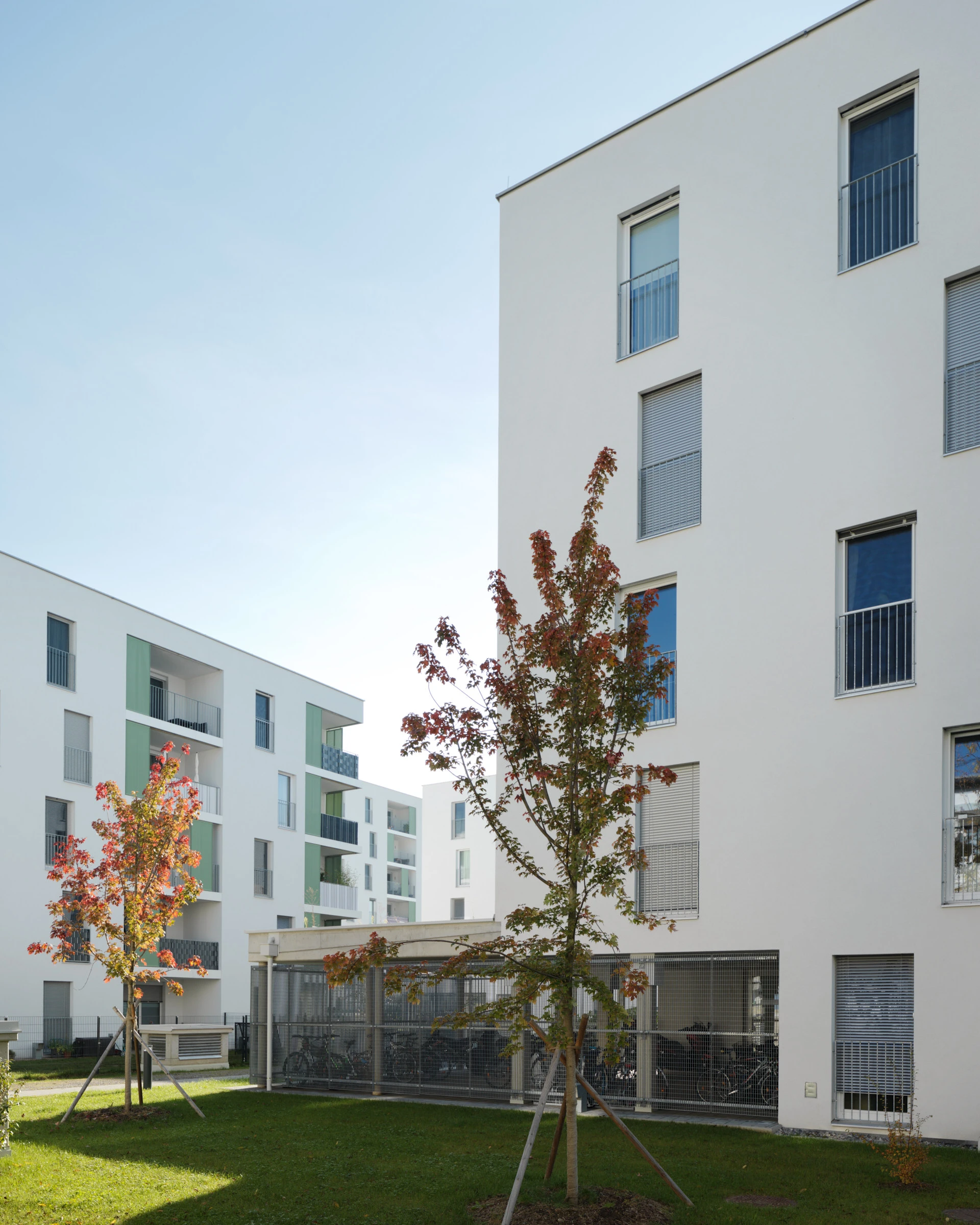 Kein Alt-Text zur Verfügung gestellt.