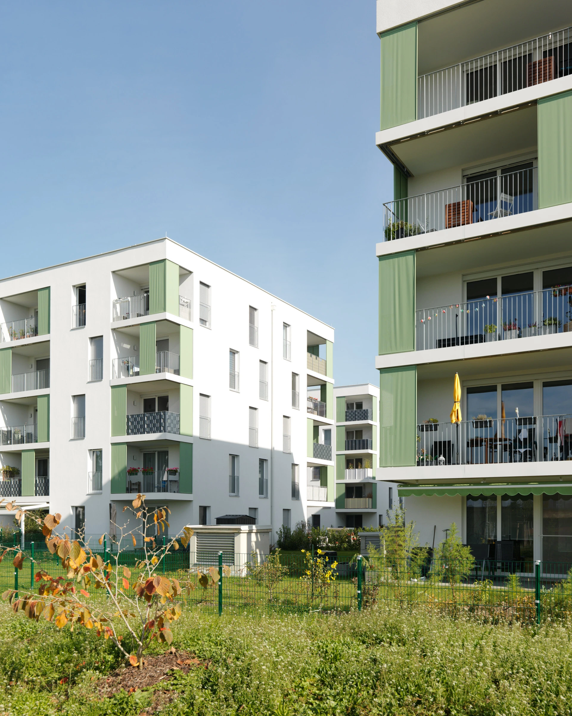 Kein Alt-Text zur Verfügung gestellt.