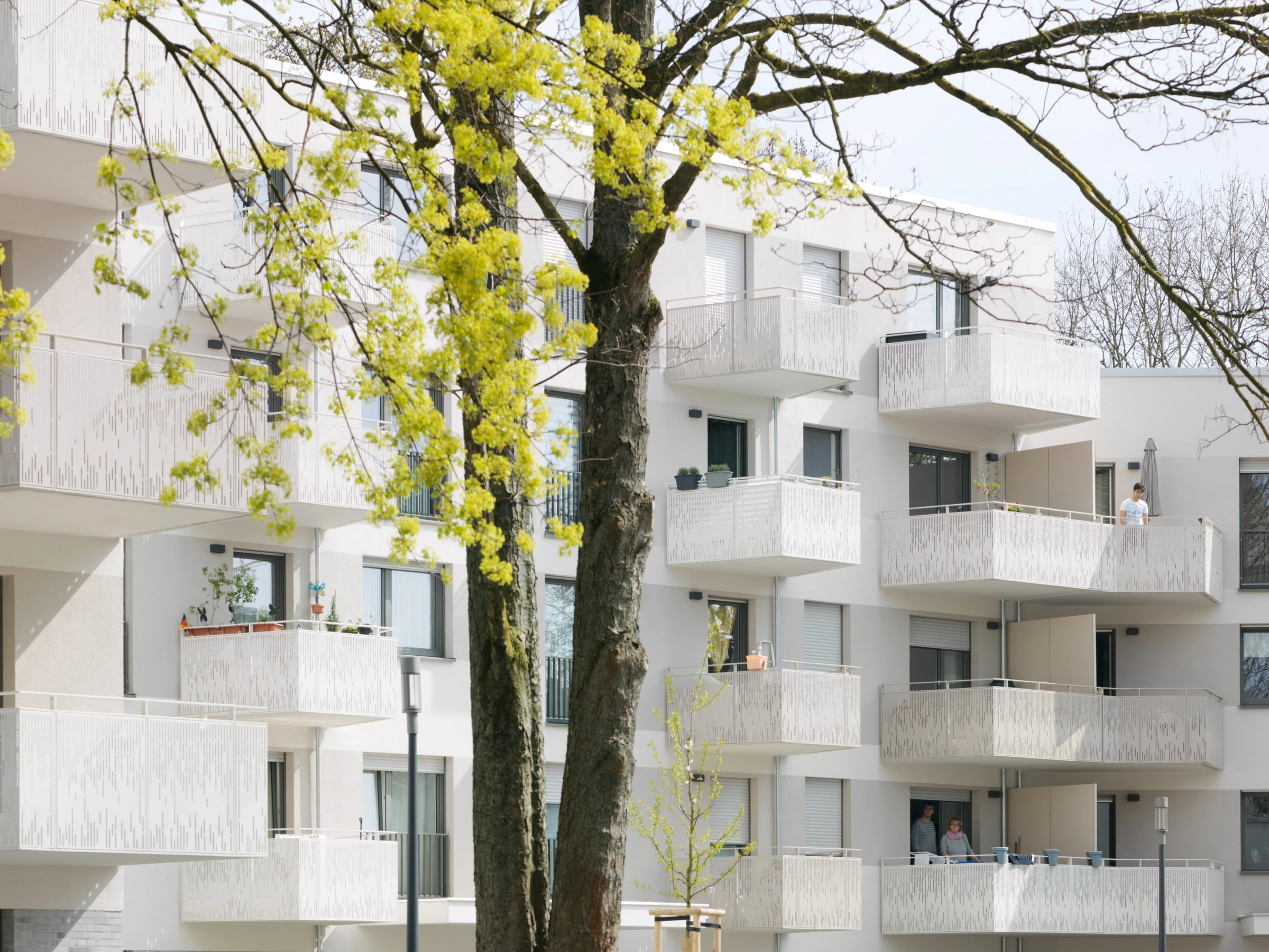 Kein Alt-Text zur Verfügung gestellt.