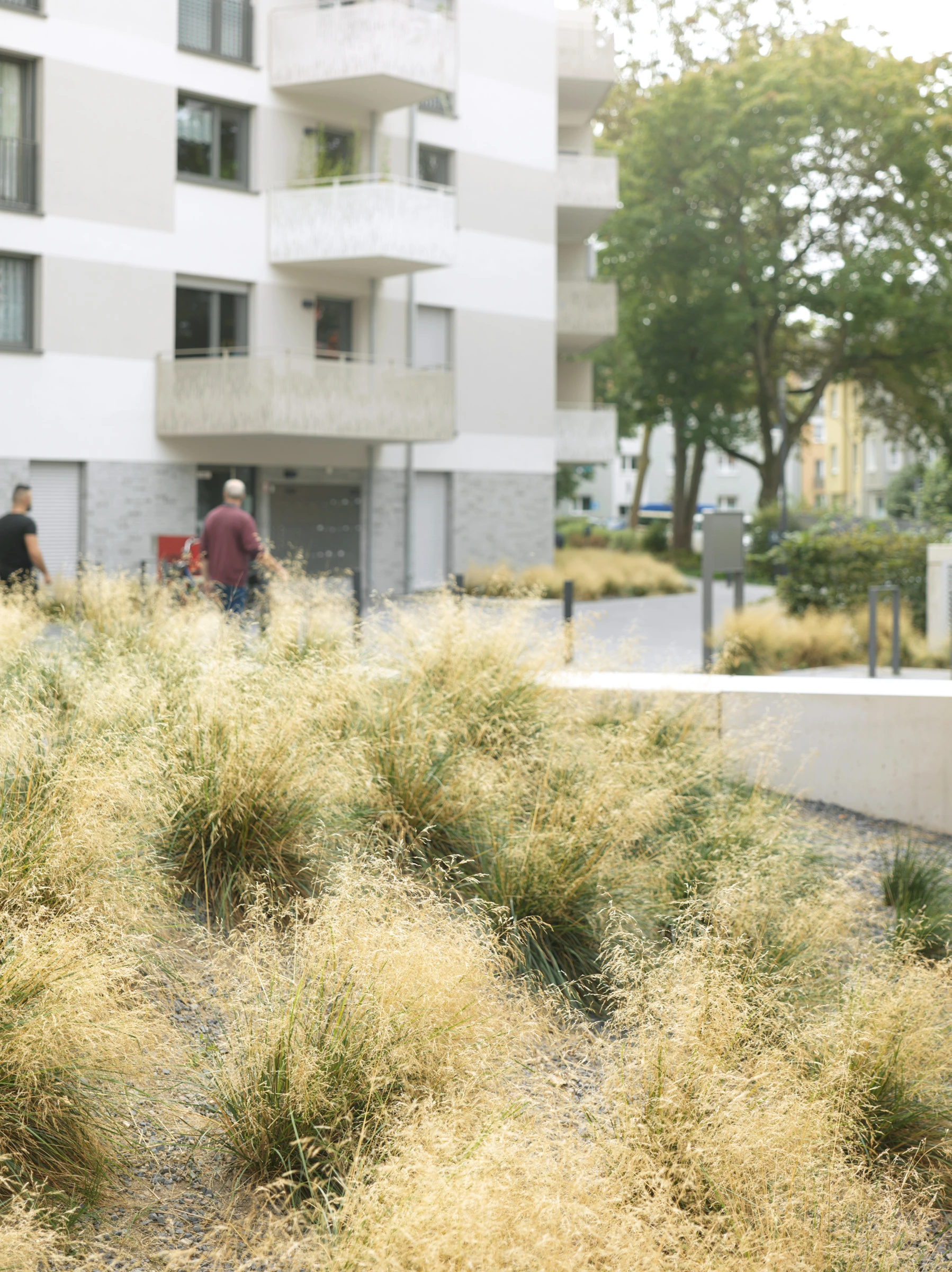 Kein Alt-Text zur Verfügung gestellt.