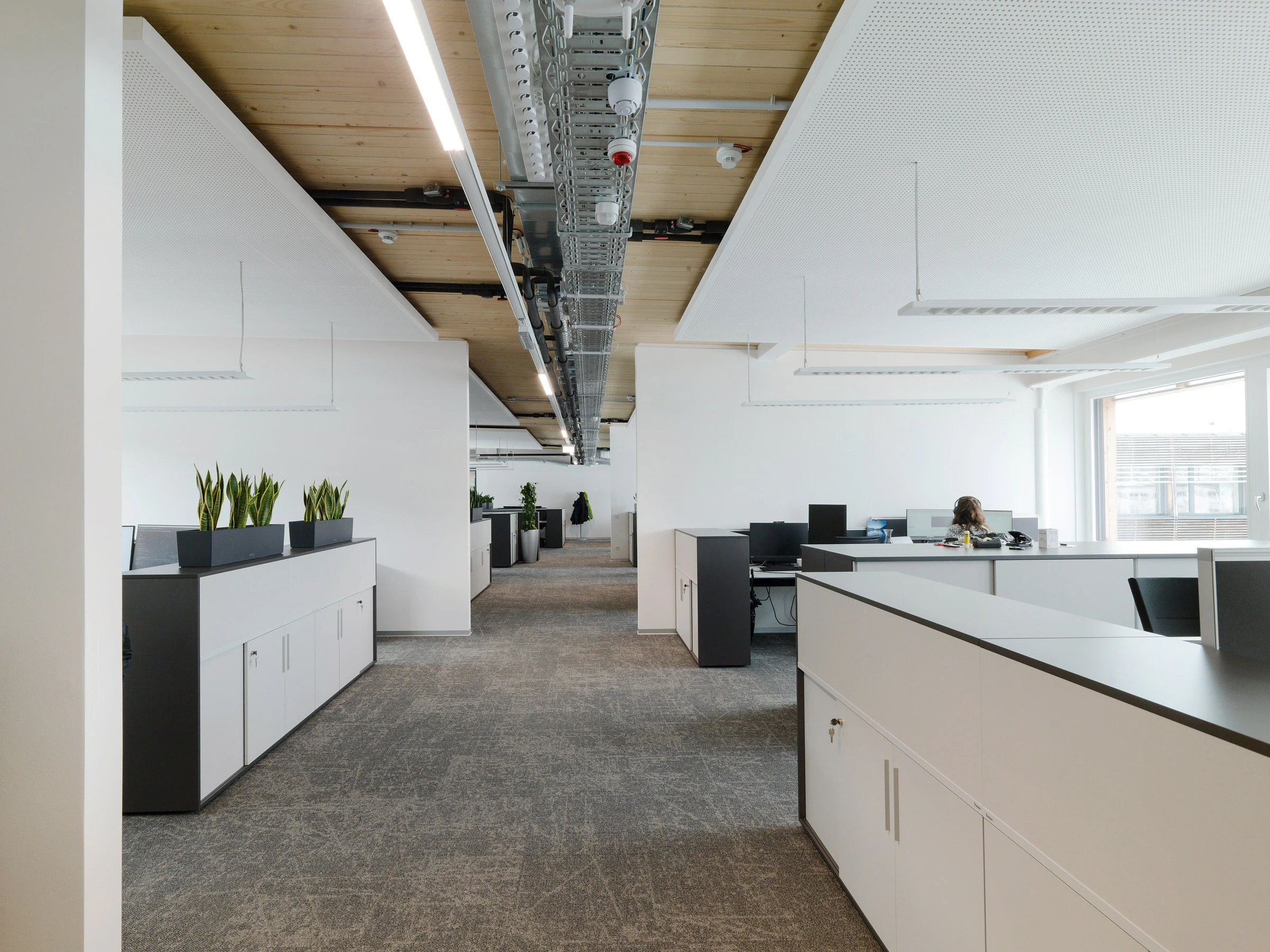 Kein Alt-Text zur Verfügung gestellt.