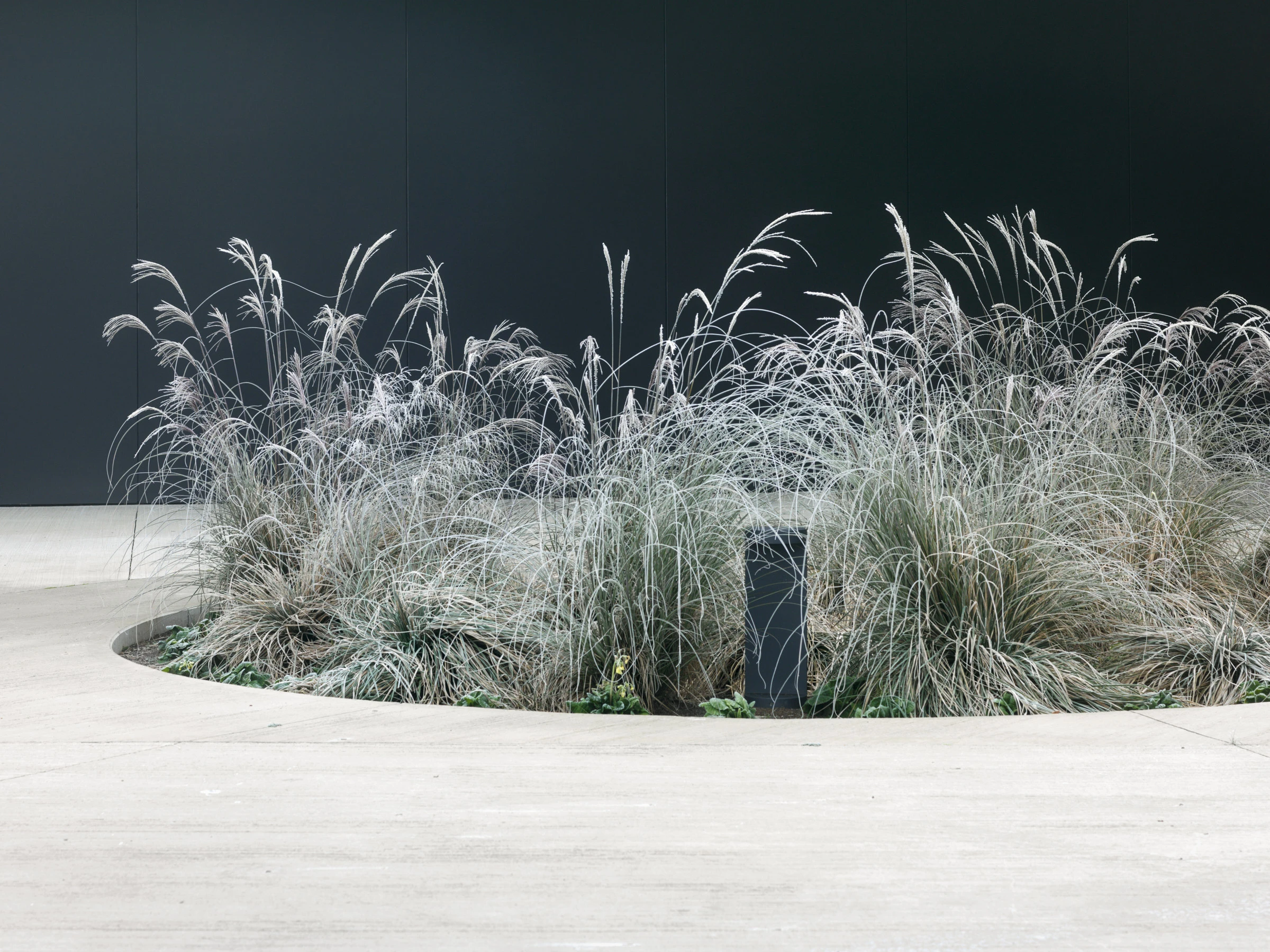 Kein Alt-Text zur Verfügung gestellt.