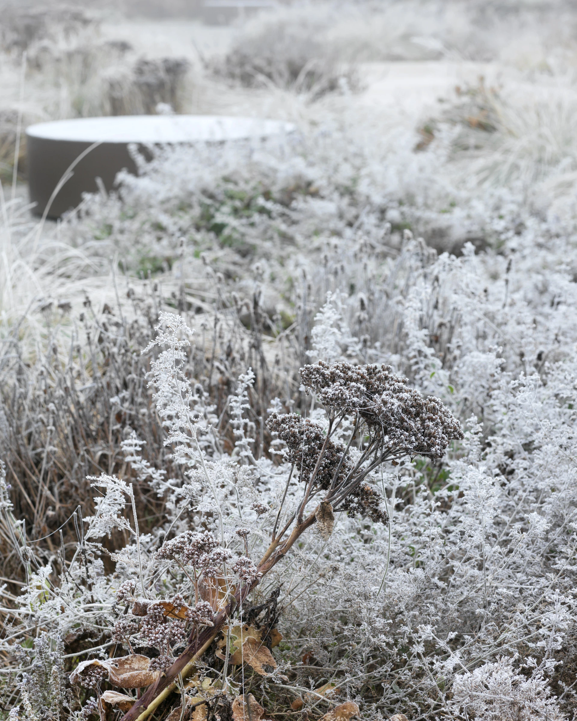 Kein Alt-Text zur Verfügung gestellt.