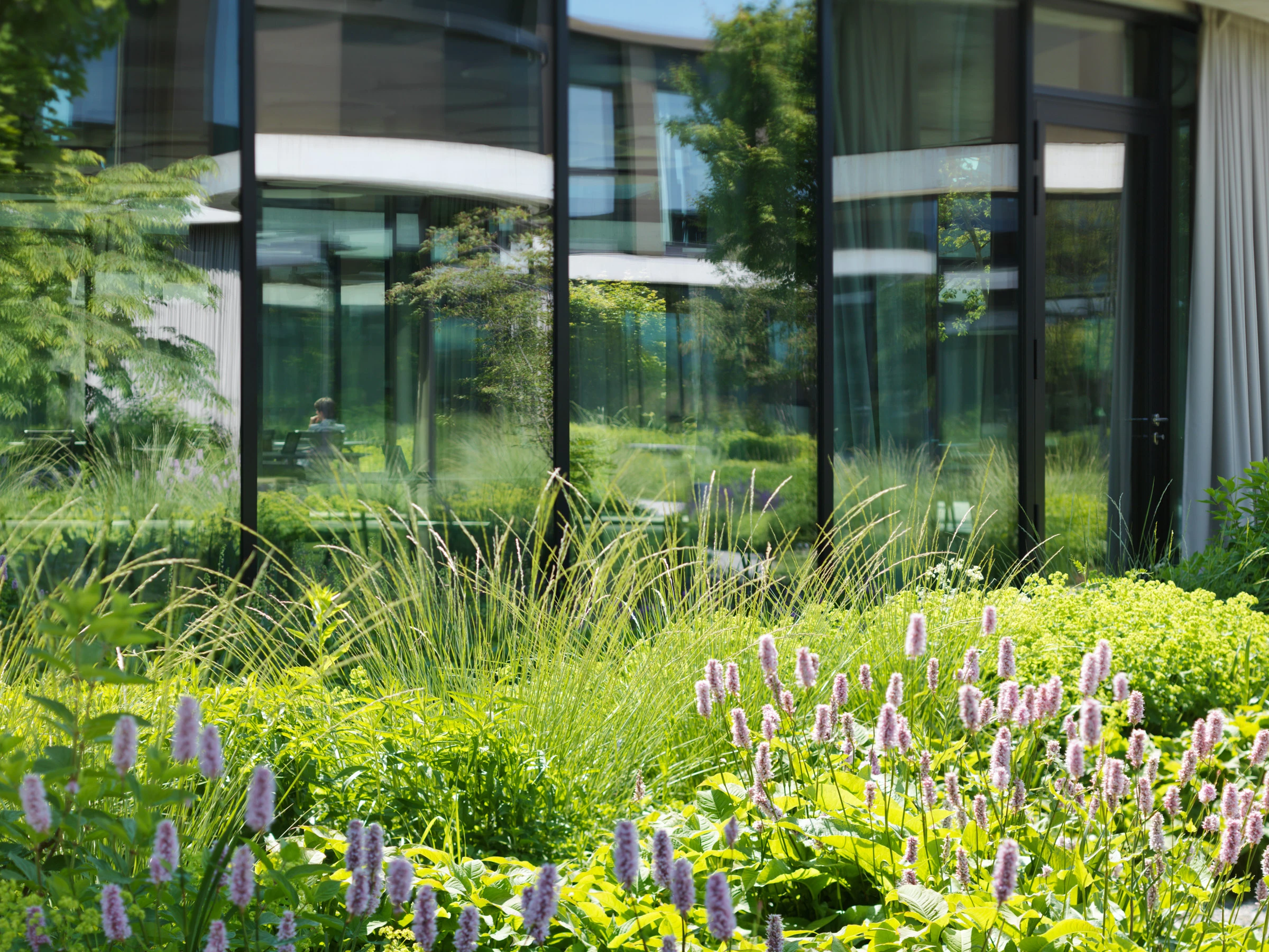 Kein Alt-Text zur Verfügung gestellt.