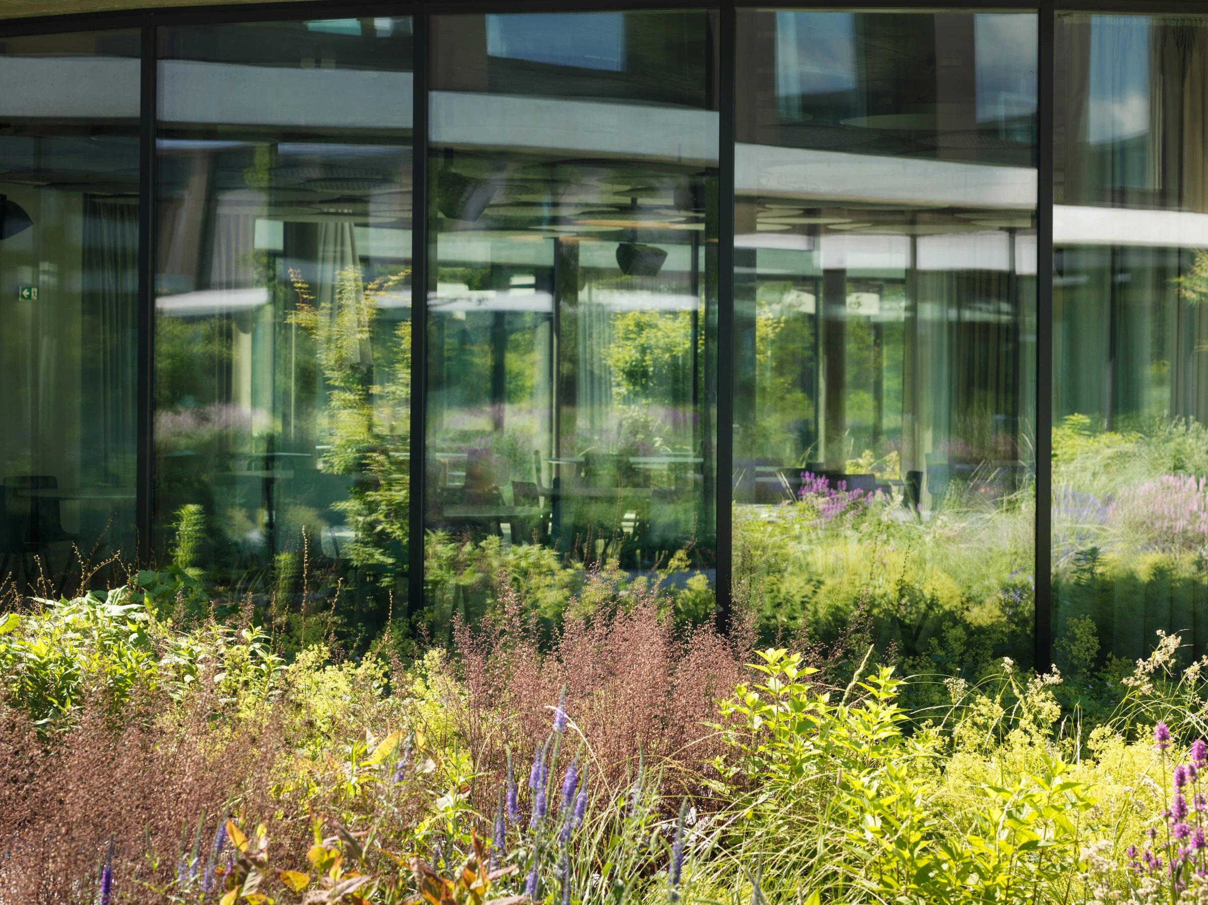 Kein Alt-Text zur Verfügung gestellt.
