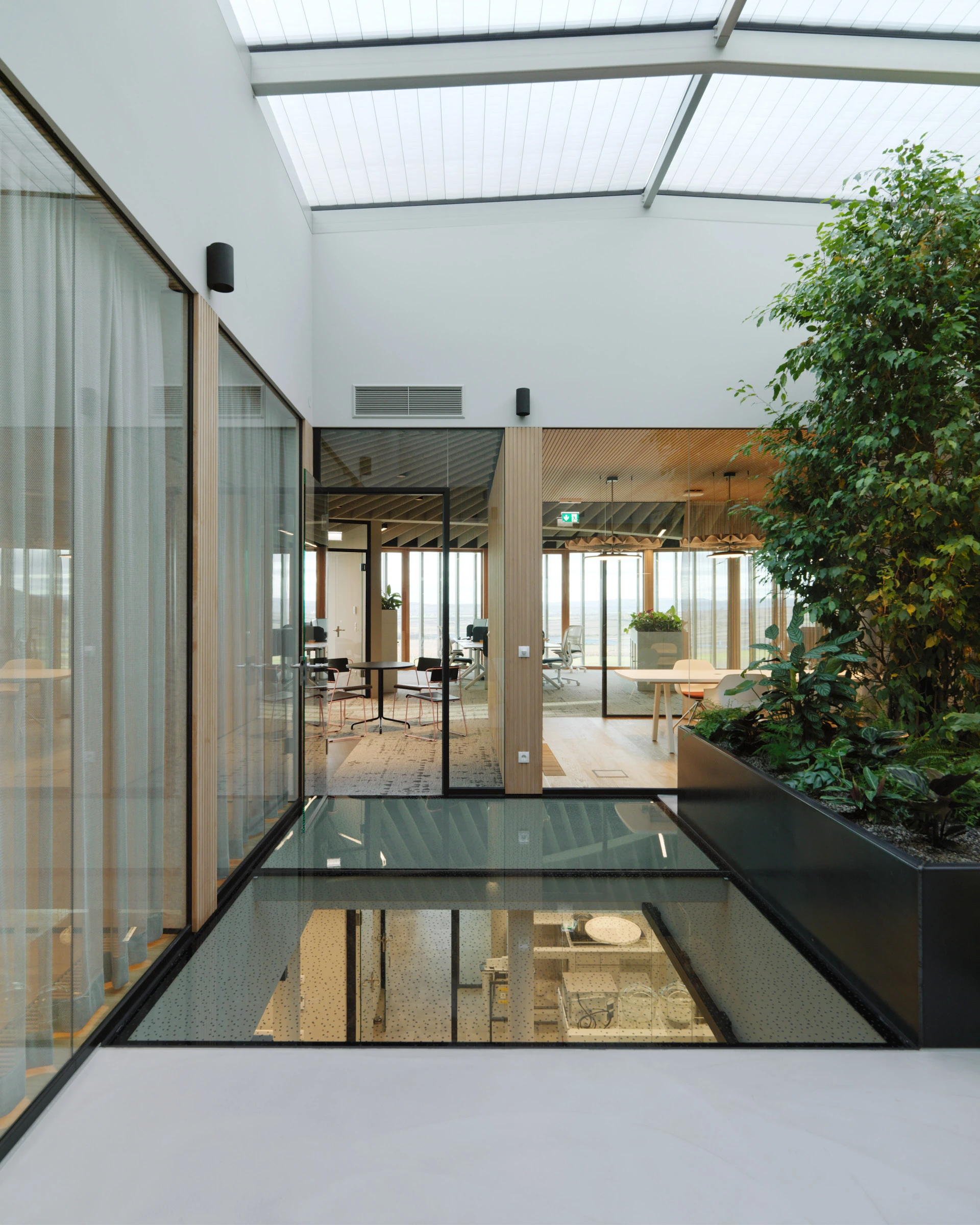 Kein Alt-Text zur Verfügung gestellt.