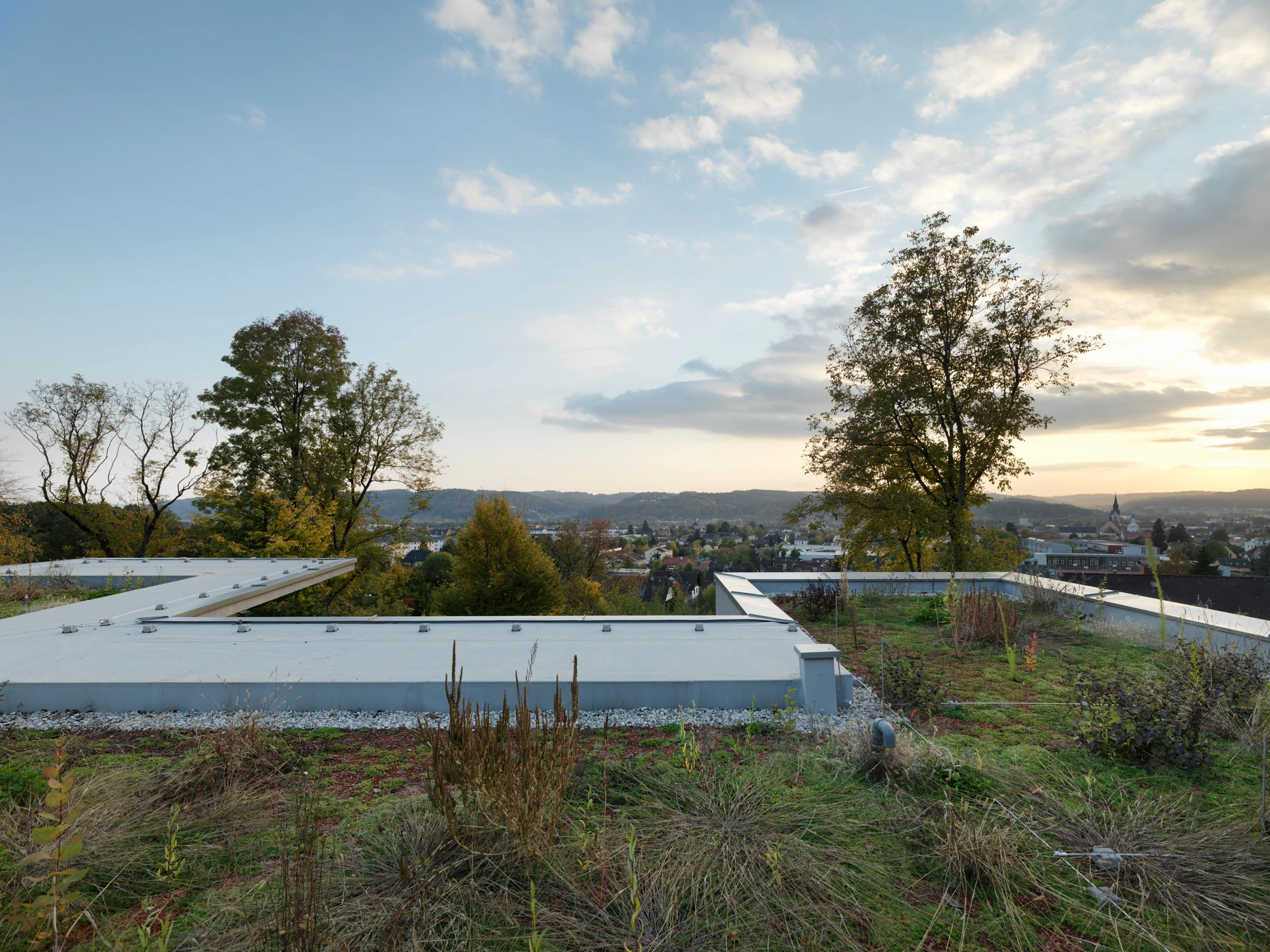 Kein Alt-Text zur Verfügung gestellt.