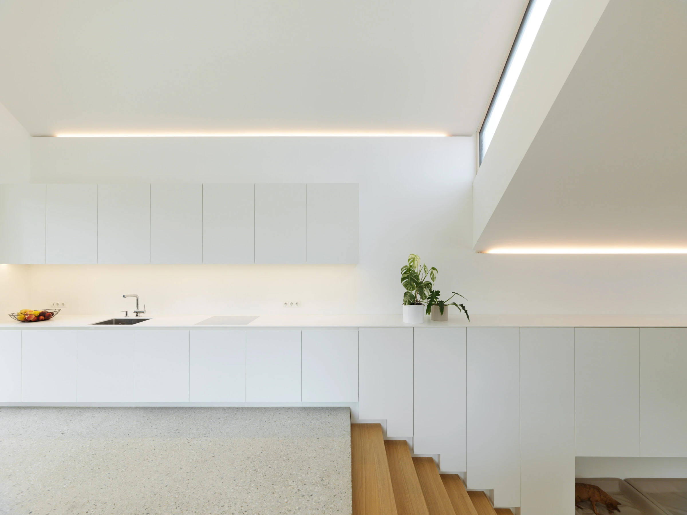 Kein Alt-Text zur Verfügung gestellt.