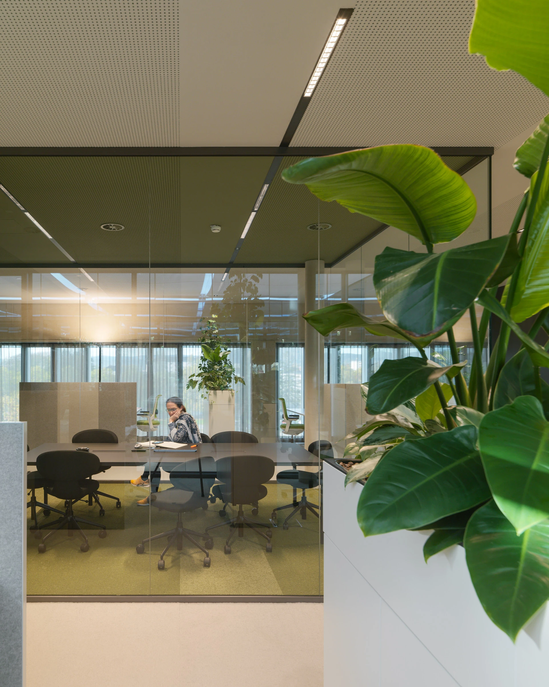 Kein Alt-Text zur Verfügung gestellt.