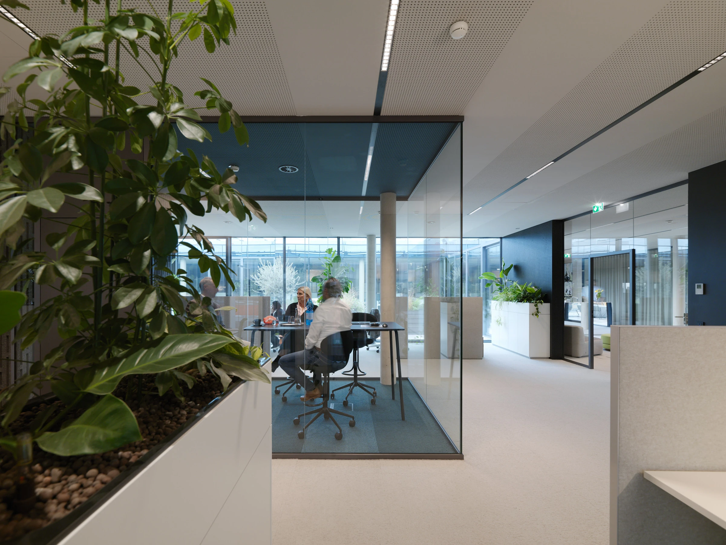 Kein Alt-Text zur Verfügung gestellt.