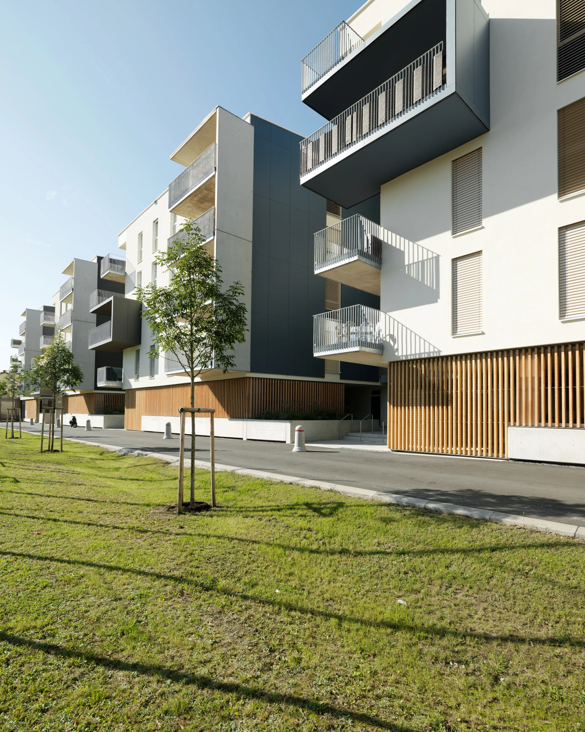 Kein Alt-Text zur Verfügung gestellt.