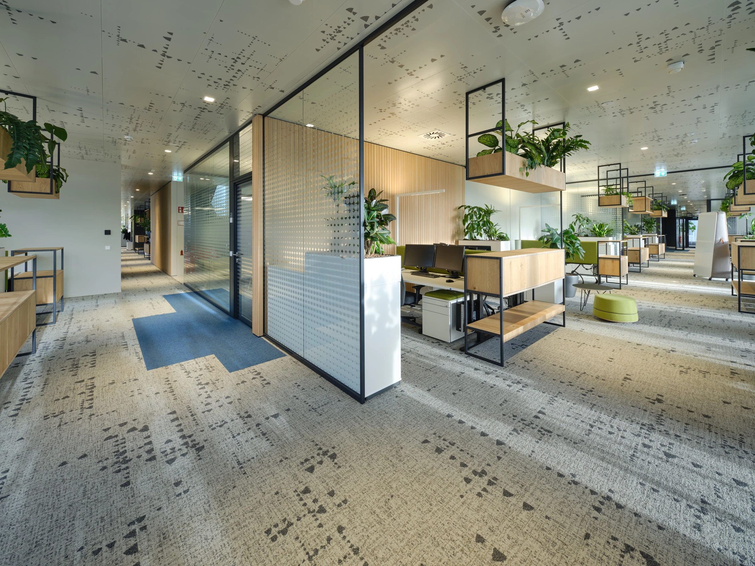 Kein Alt-Text zur Verfügung gestellt.