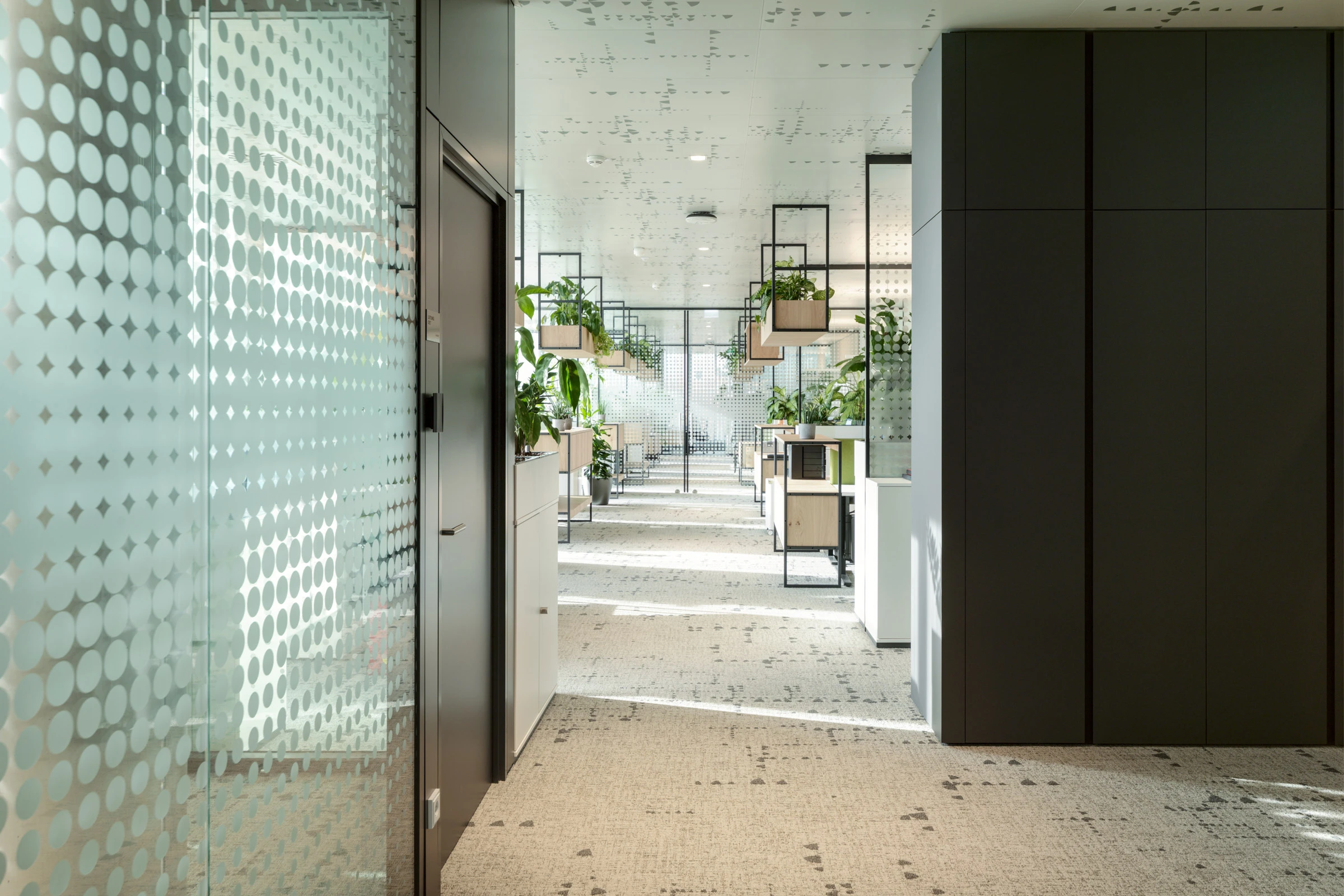 Kein Alt-Text zur Verfügung gestellt.