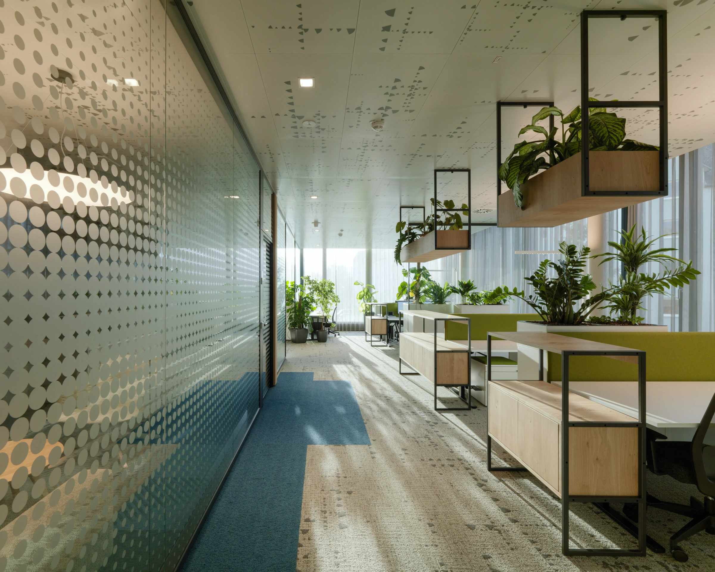 Kein Alt-Text zur Verfügung gestellt.