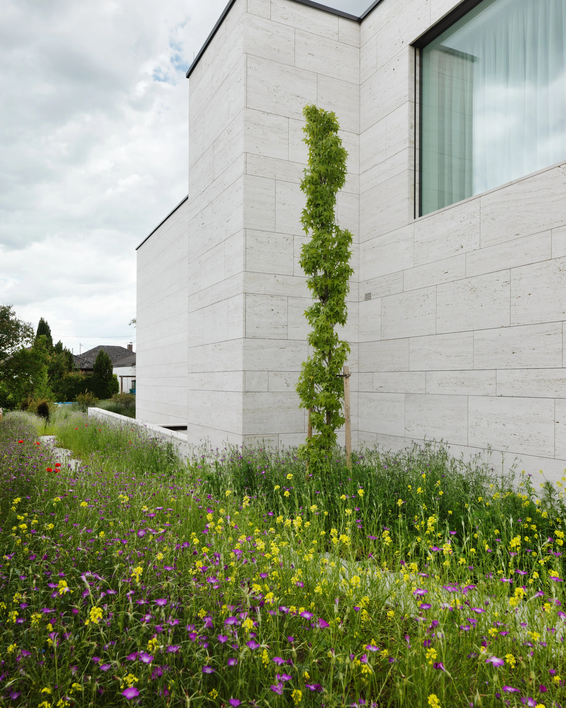 Kein Alt-Text zur Verfügung gestellt.