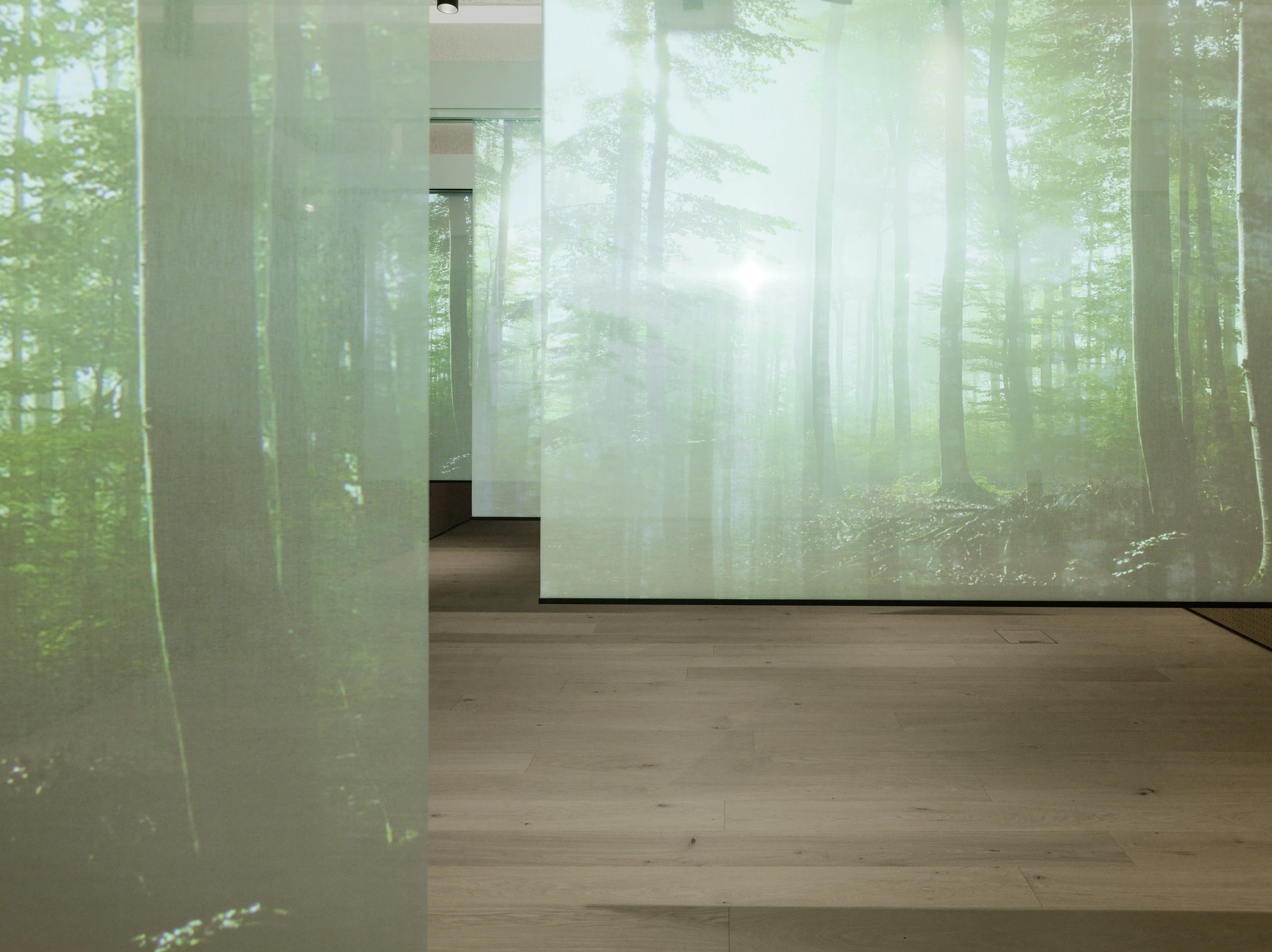 Kein Alt-Text zur Verfügung gestellt.