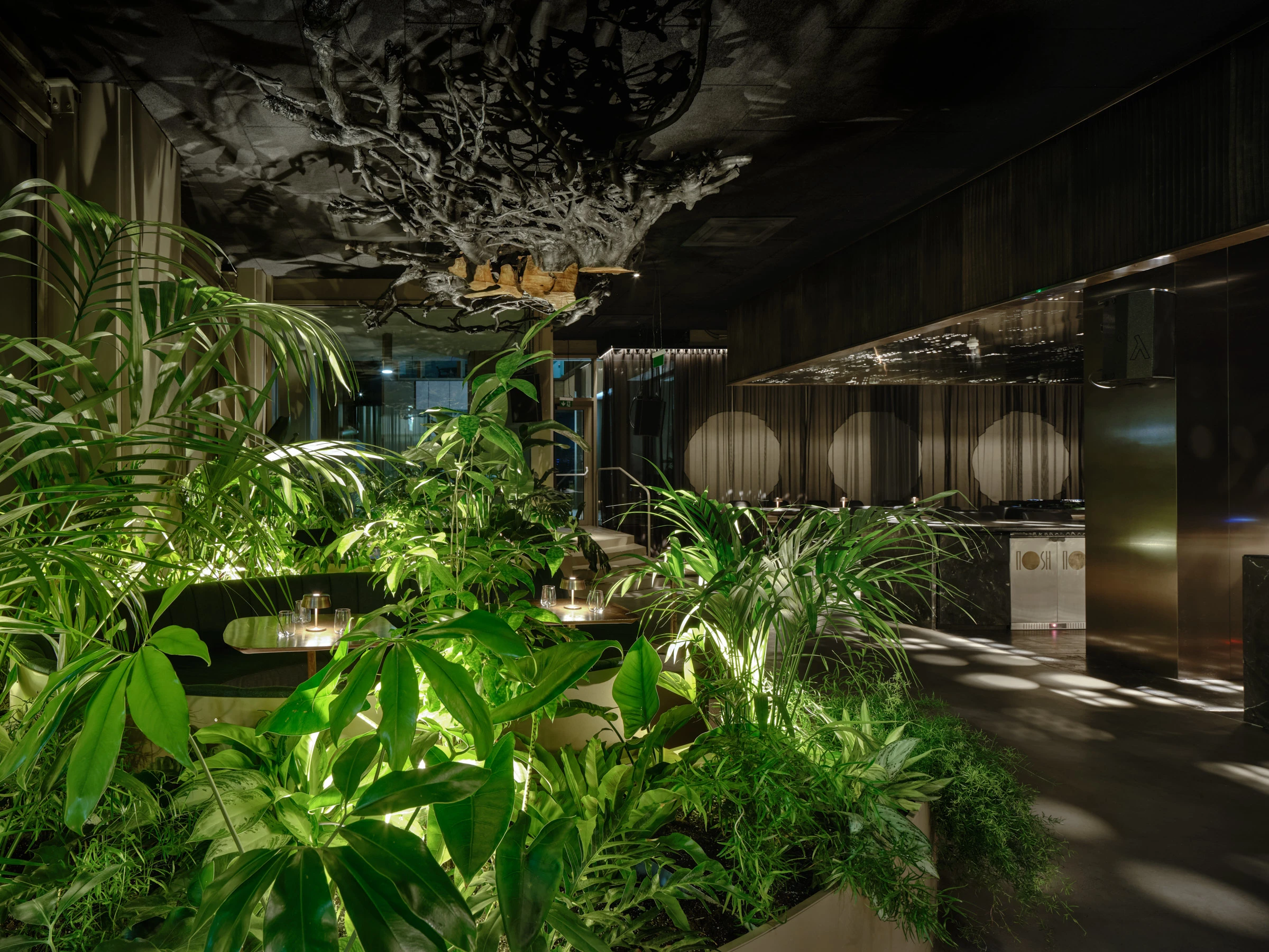 Kein Alt-Text zur Verfügung gestellt.