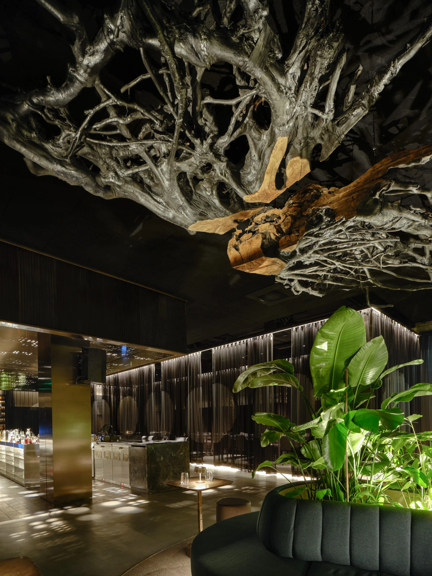 Kein Alt-Text zur Verfügung gestellt.