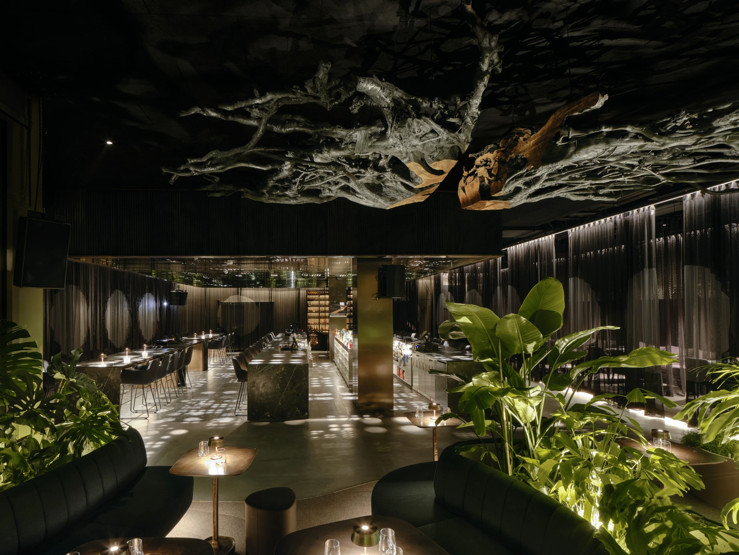 Kein Alt-Text zur Verfügung gestellt.