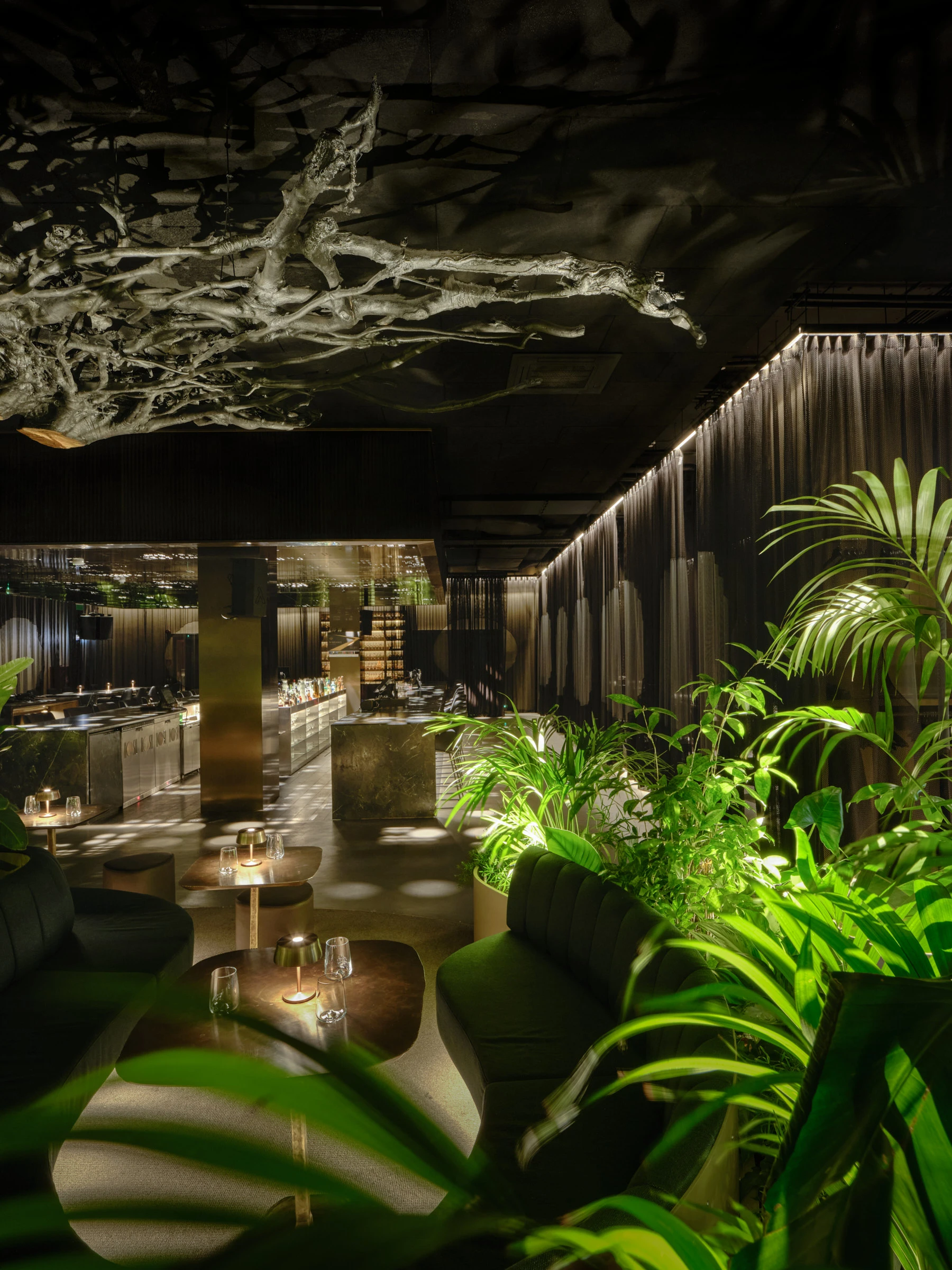 Kein Alt-Text zur Verfügung gestellt.