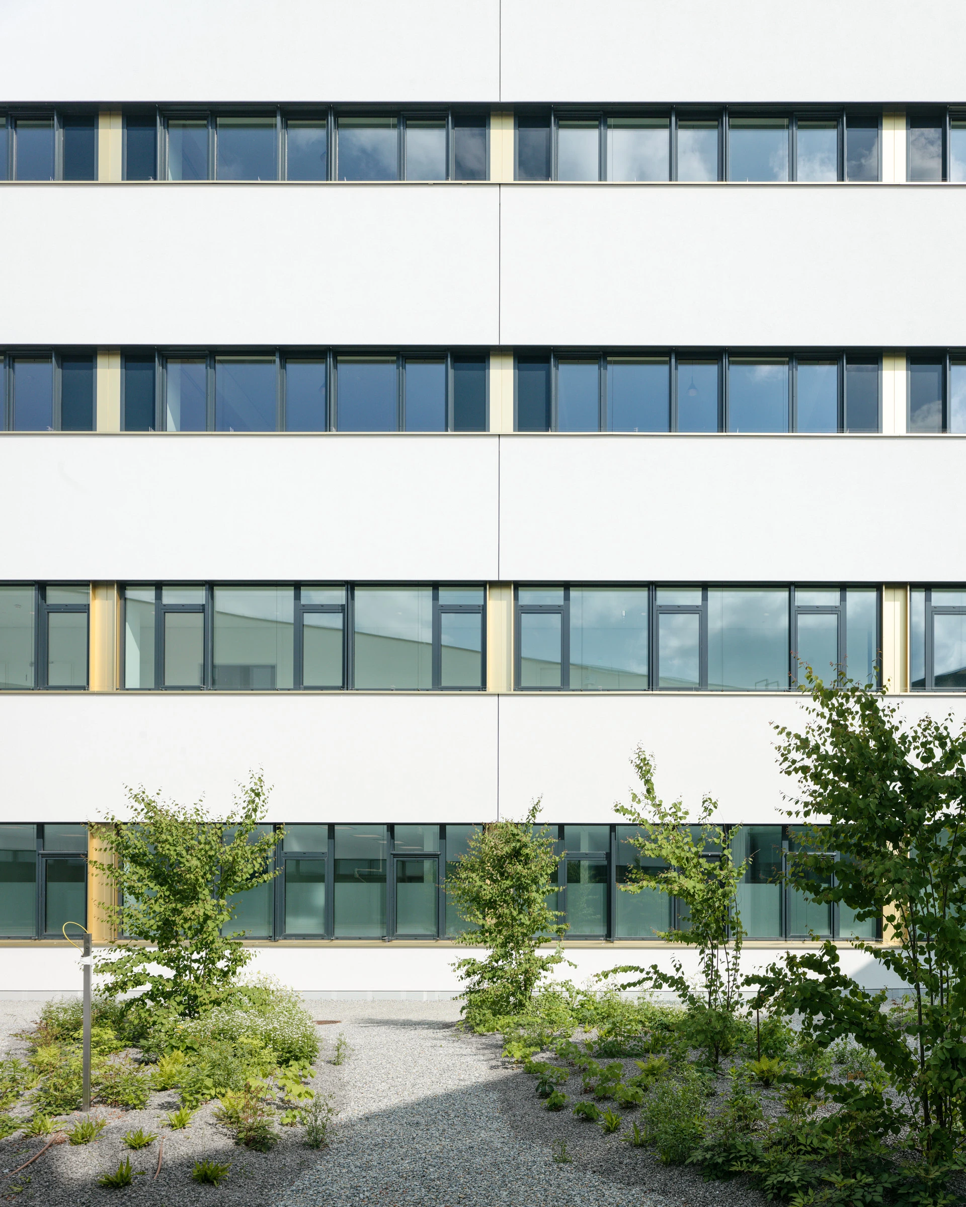 Kein Alt-Text zur Verfügung gestellt.