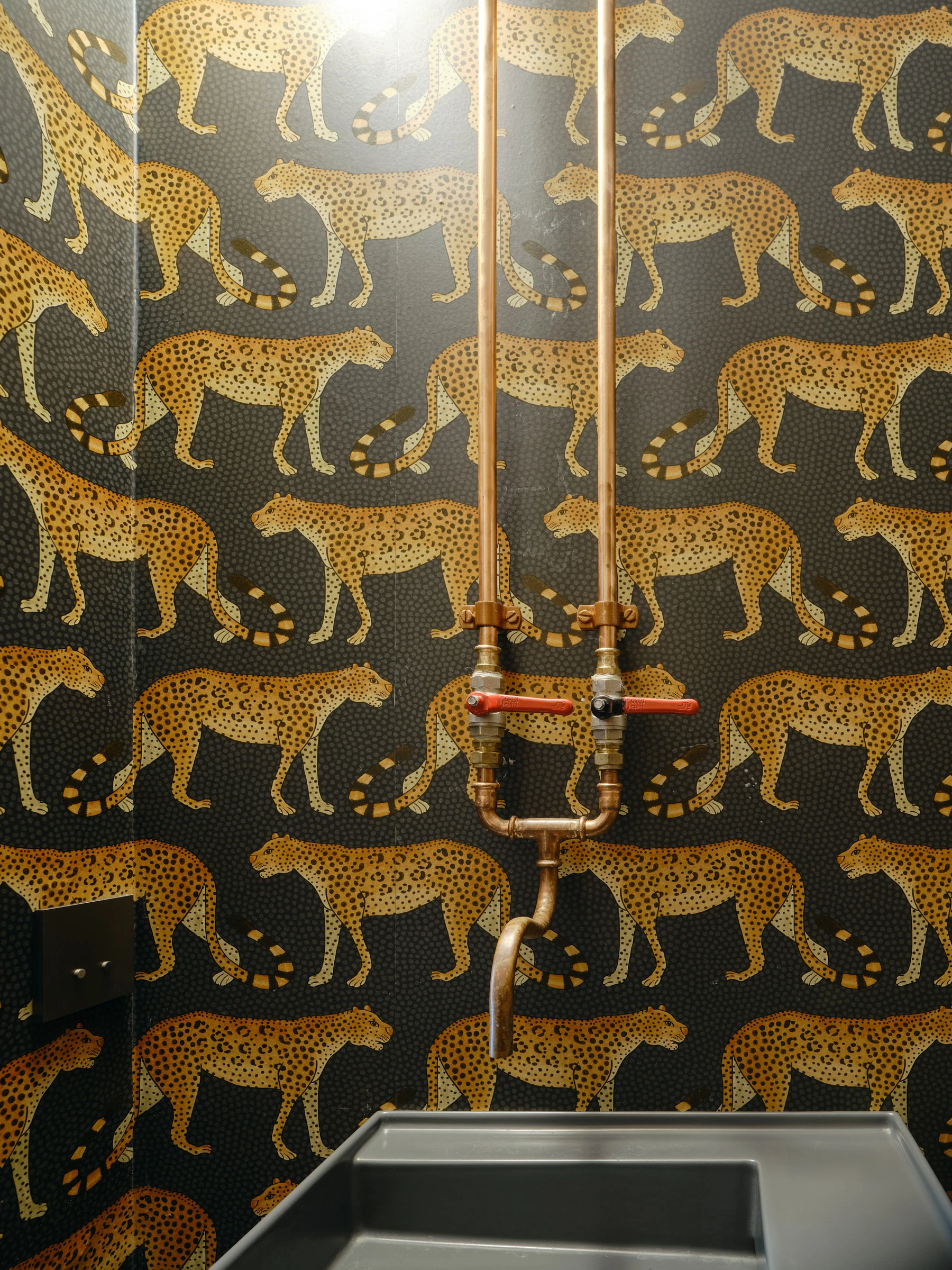 Kein Alt-Text zur Verfügung gestellt.