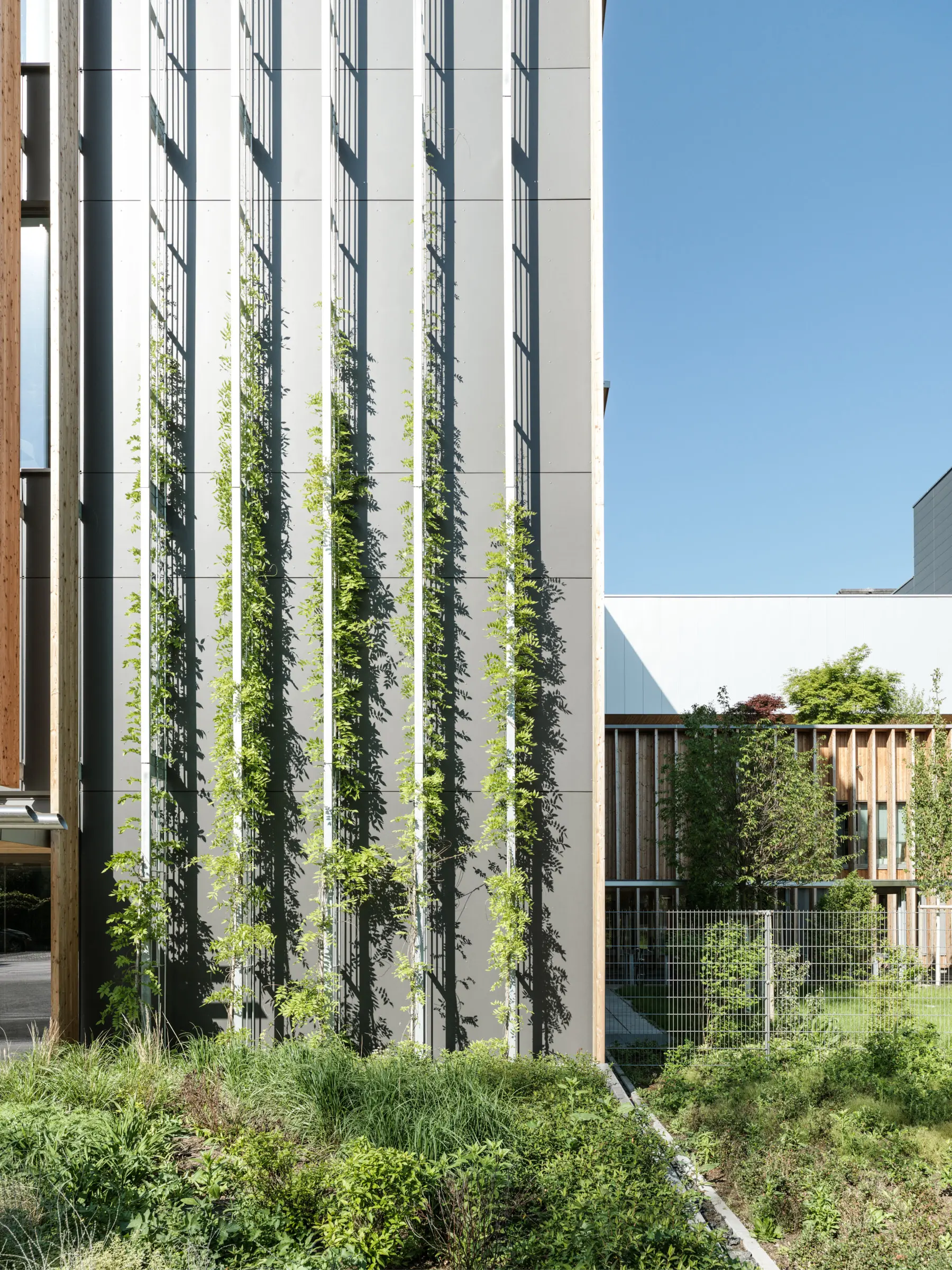 Kein Alt-Text zur Verfügung gestellt.