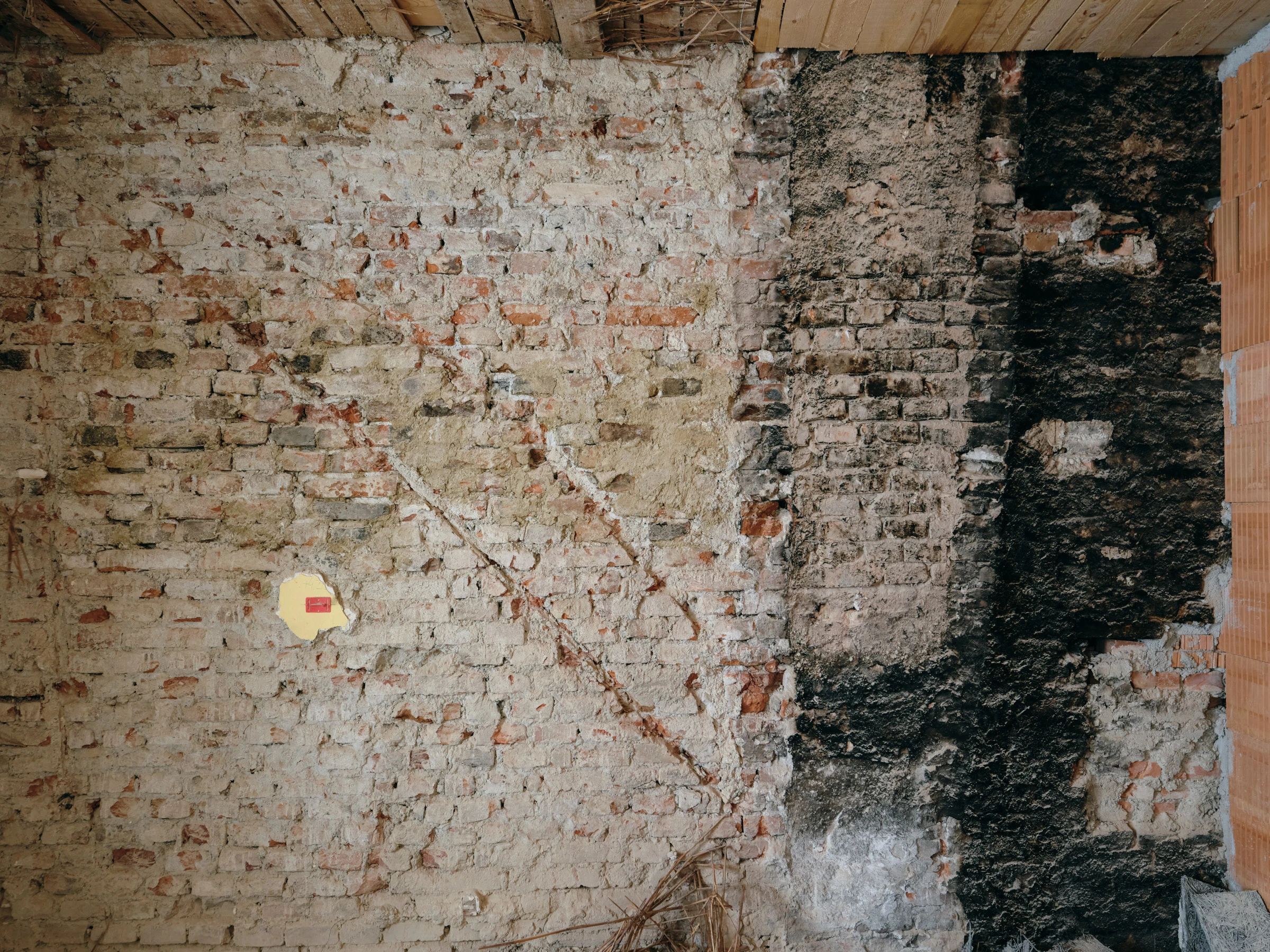 Kein Alt-Text zur Verfügung gestellt.