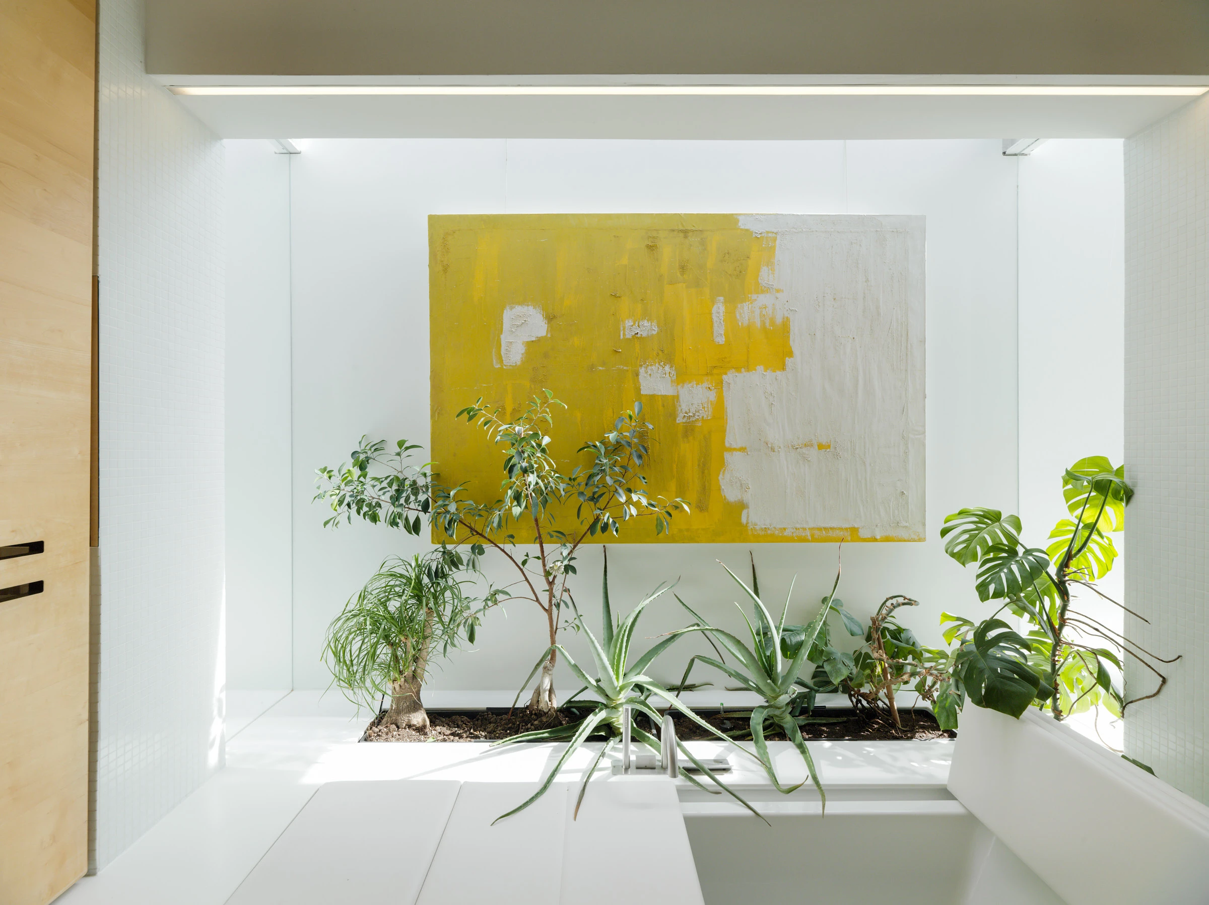 Kein Alt-Text zur Verfügung gestellt.