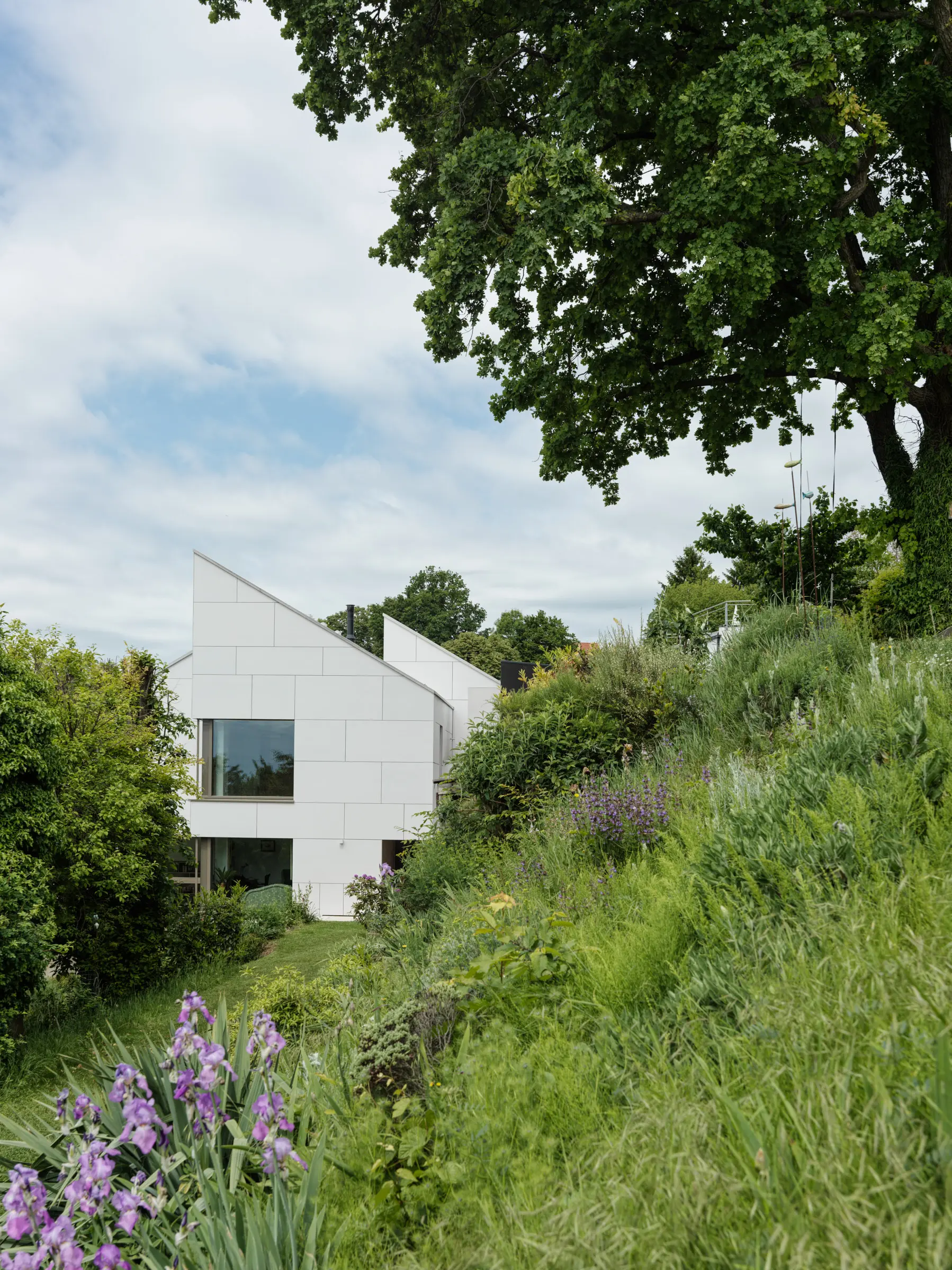 Kein Alt-Text zur Verfügung gestellt.