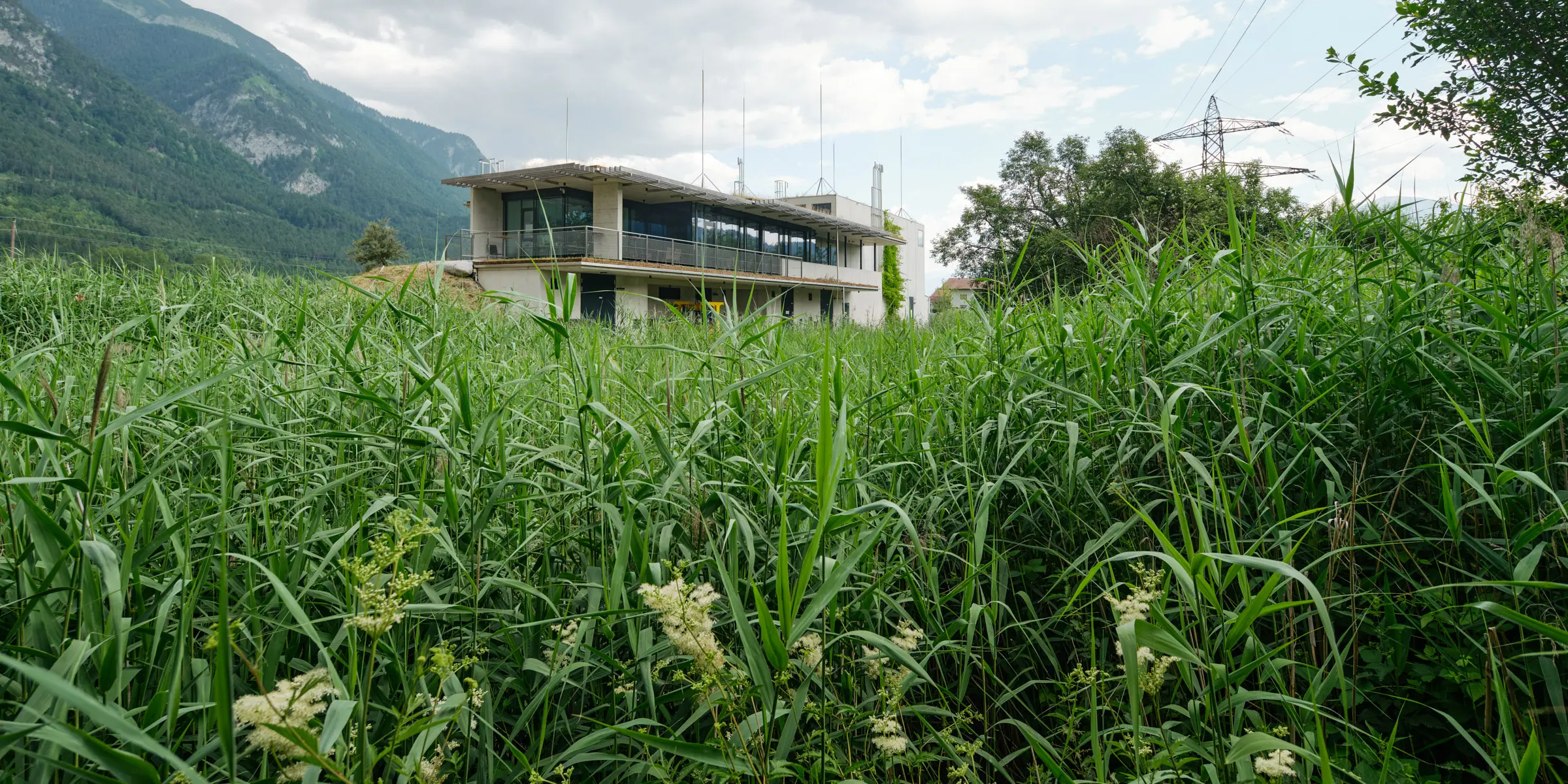 Kein Alt-Text zur Verfügung gestellt.