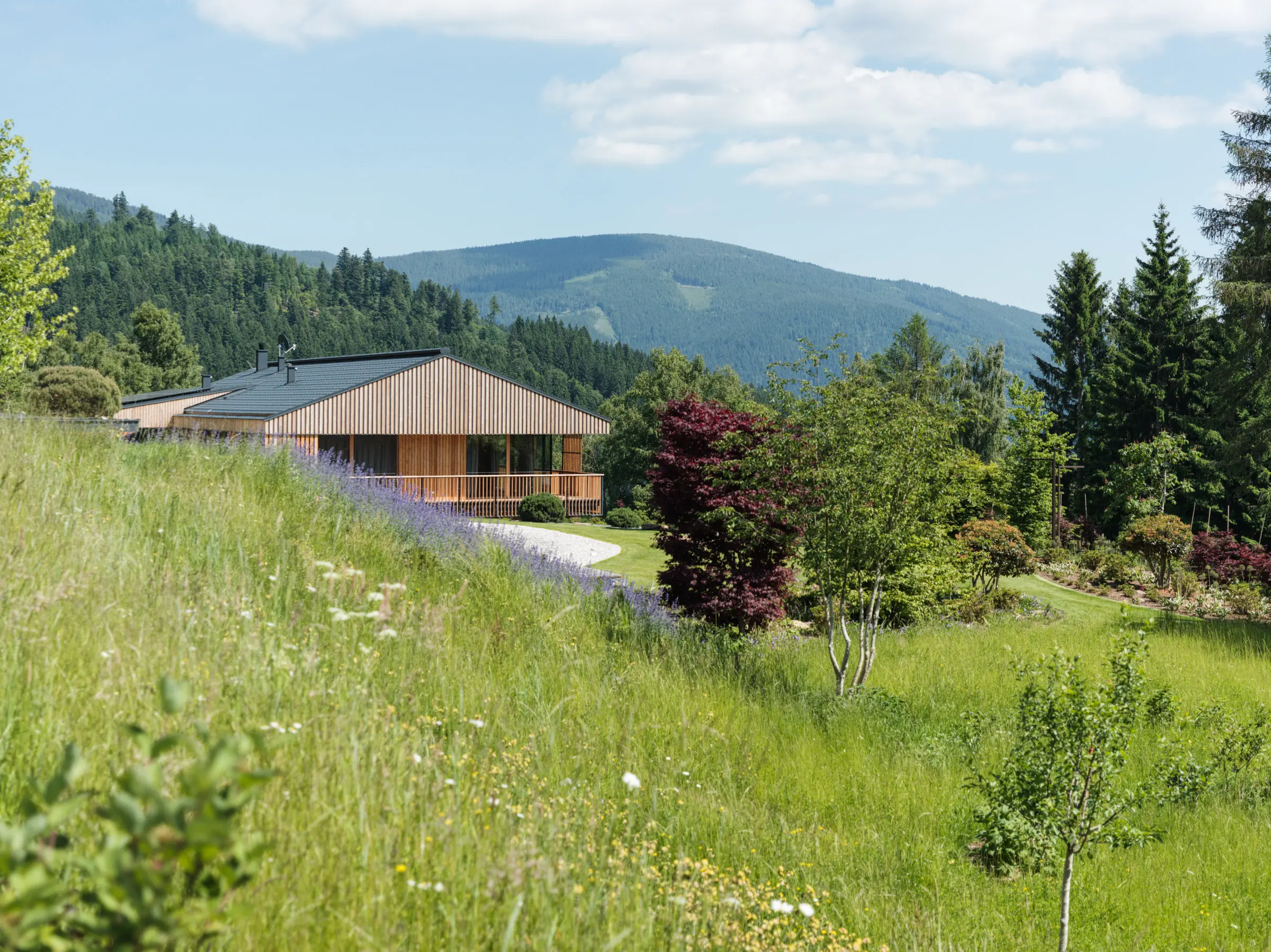 Kein Alt-Text zur Verfügung gestellt.
