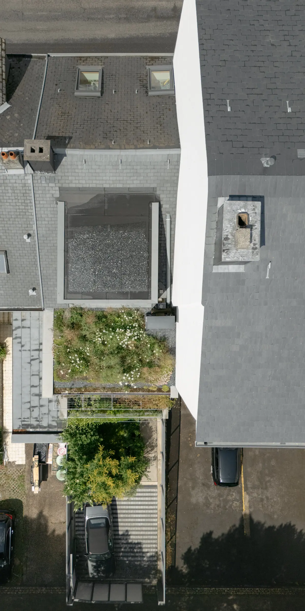 Kein Alt-Text zur Verfügung gestellt.